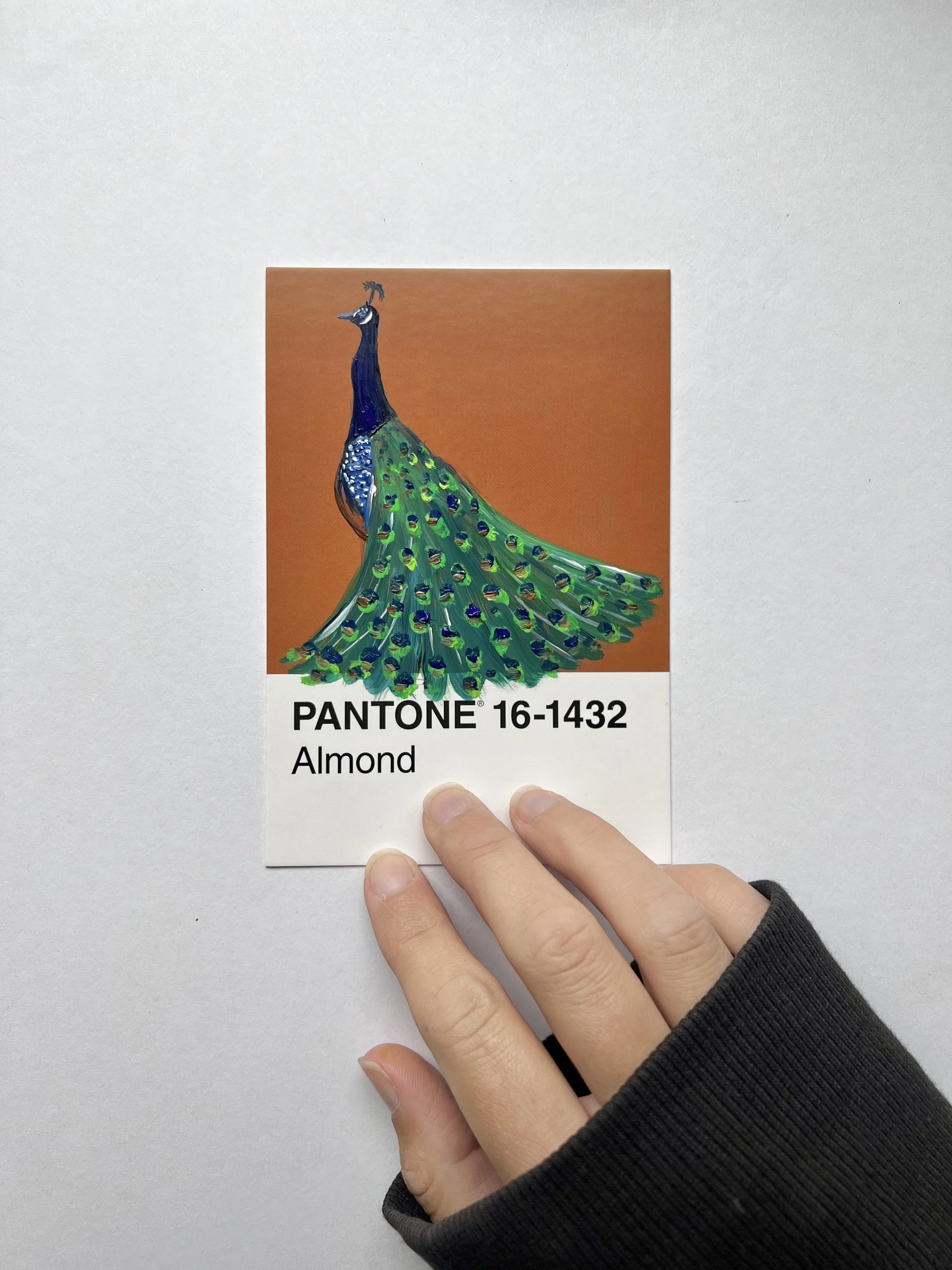 Pantone Day 95 - Peacock