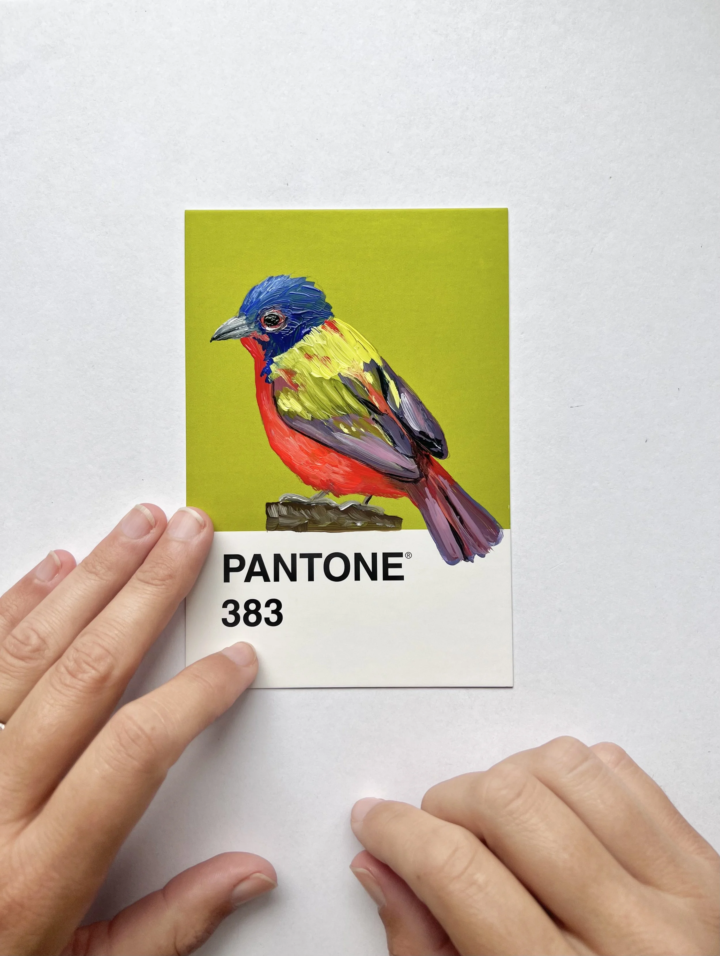 Pantone Day 96 - Painted Bunting