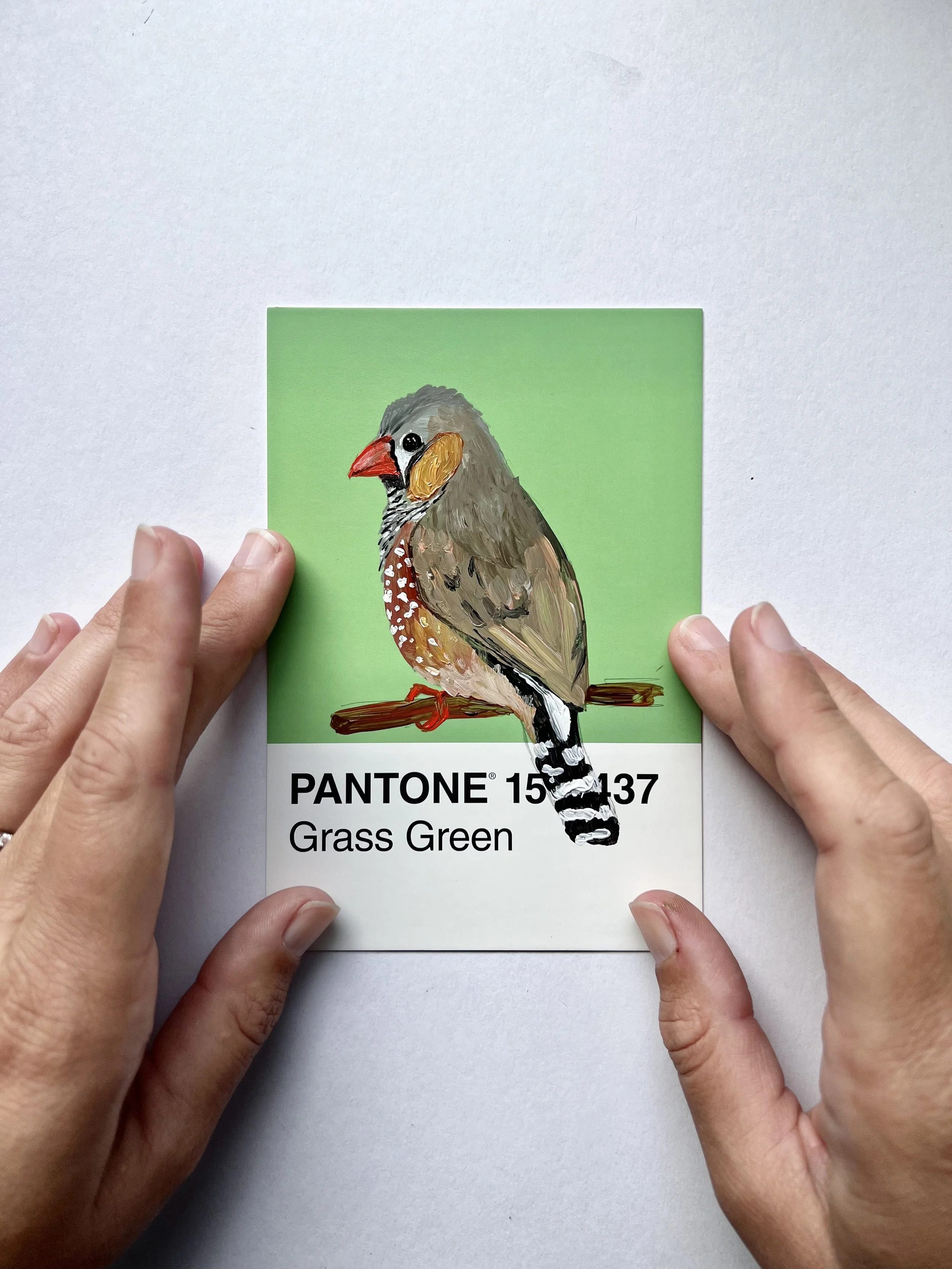 Pantone Day 99 - Zebra Finch