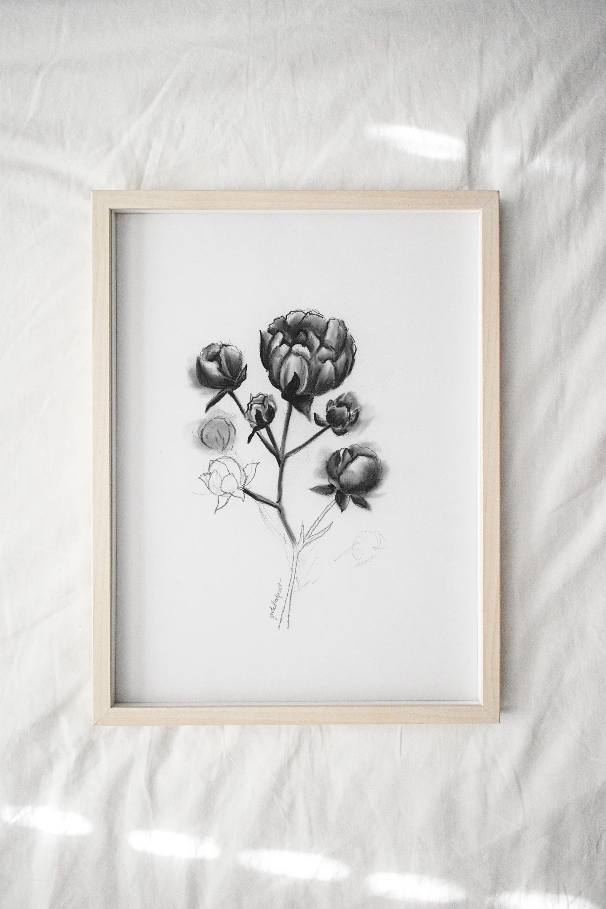 Peony Cluster Print