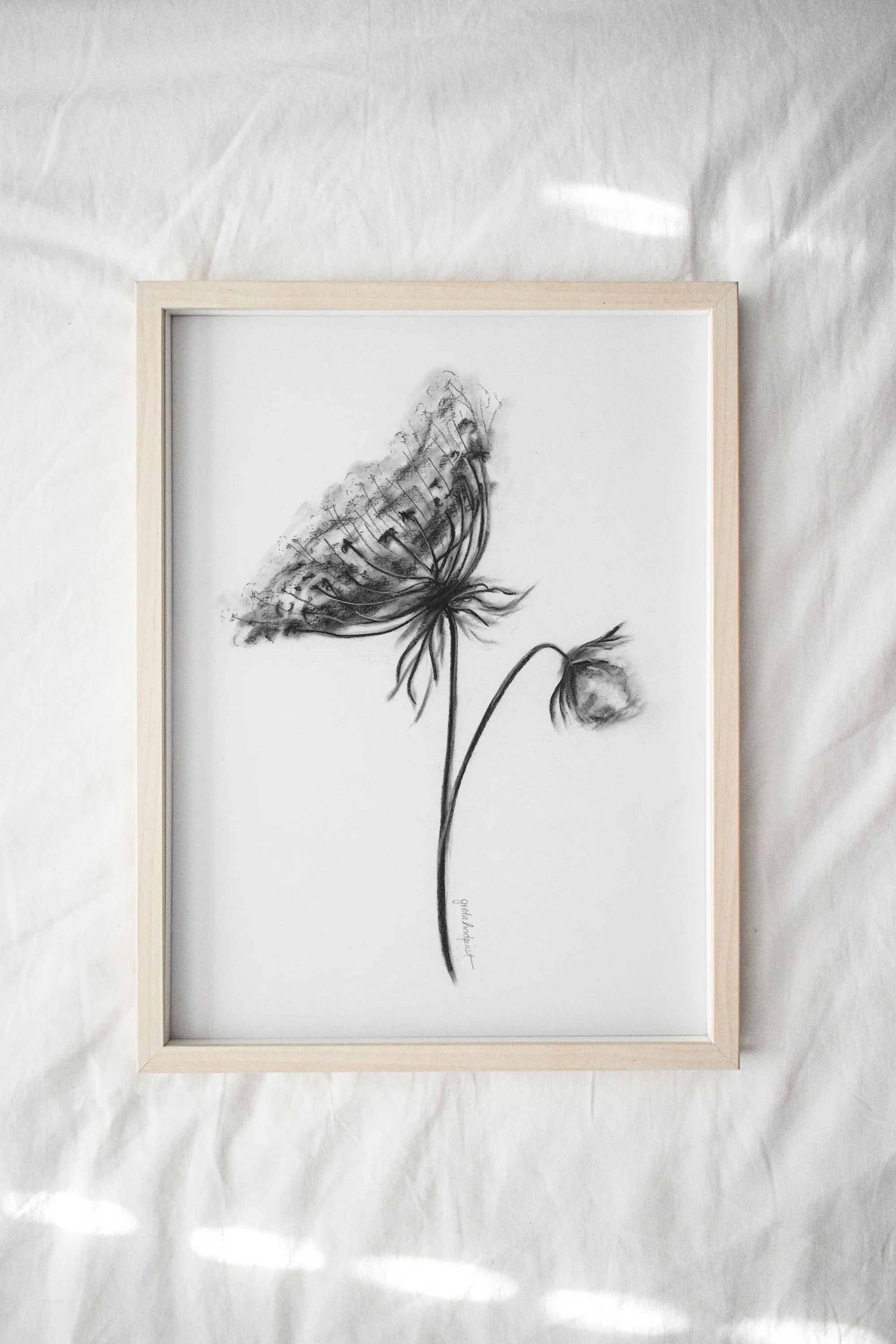 Queen Annes Lace Print