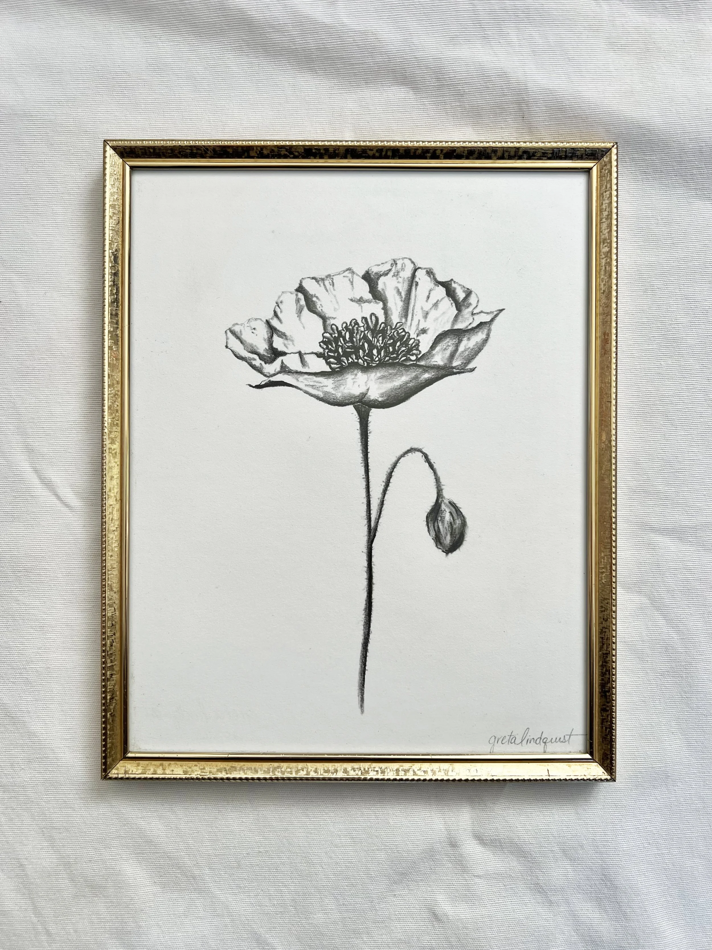 Poppy with bud - 8x10" vertical charcoal on paper