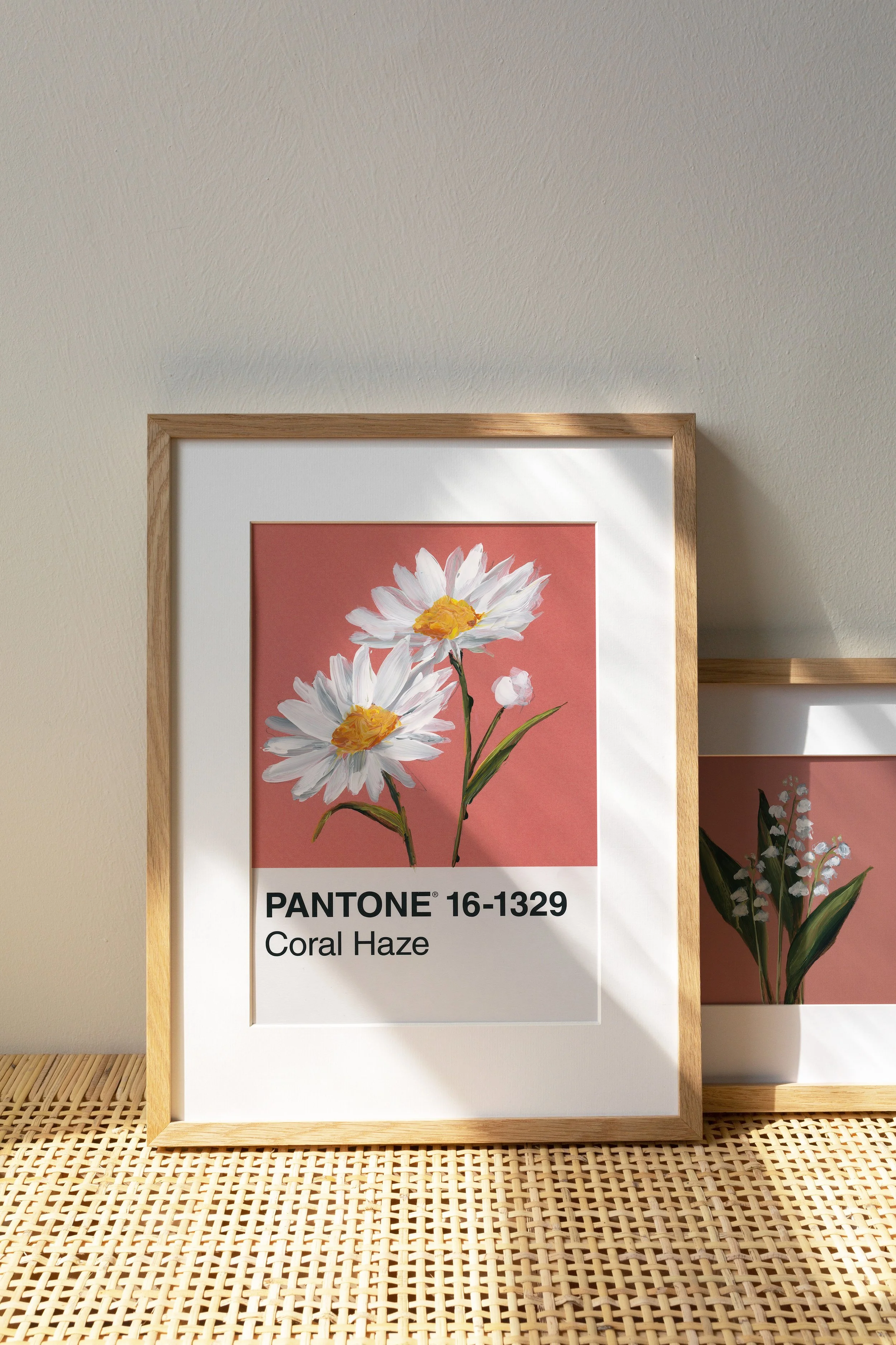 Day 81 - Pink and White Daisies (print)