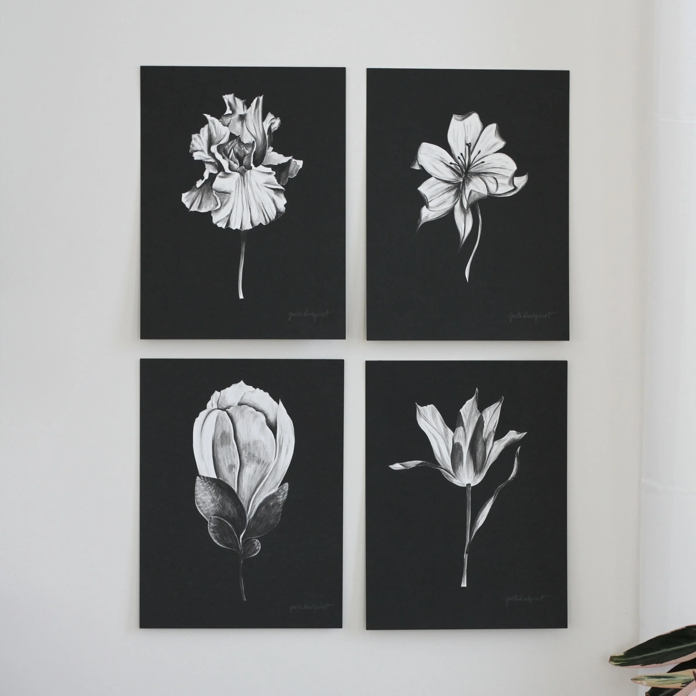 Charcoal Florals on Black Paper