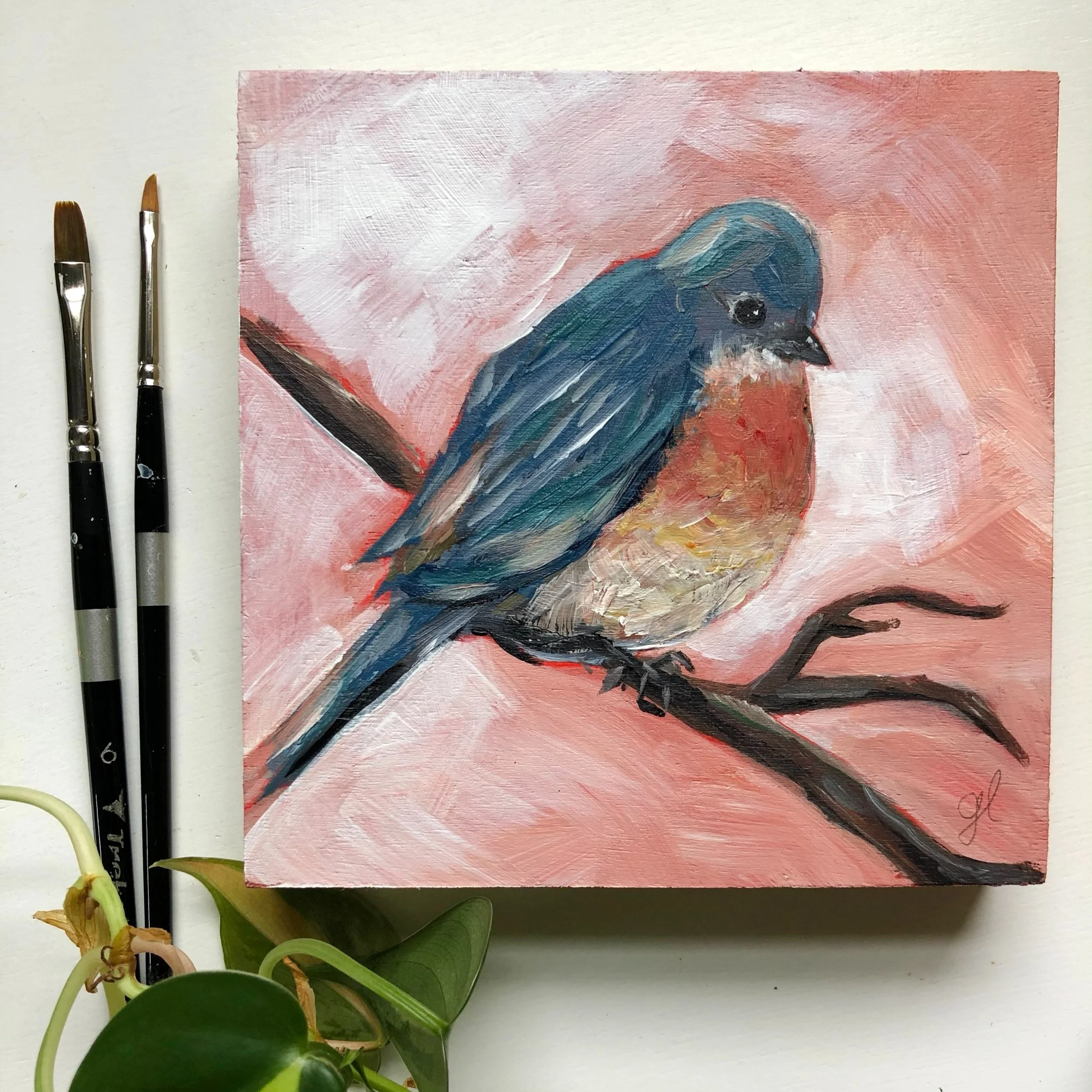 Winter Birds Collection