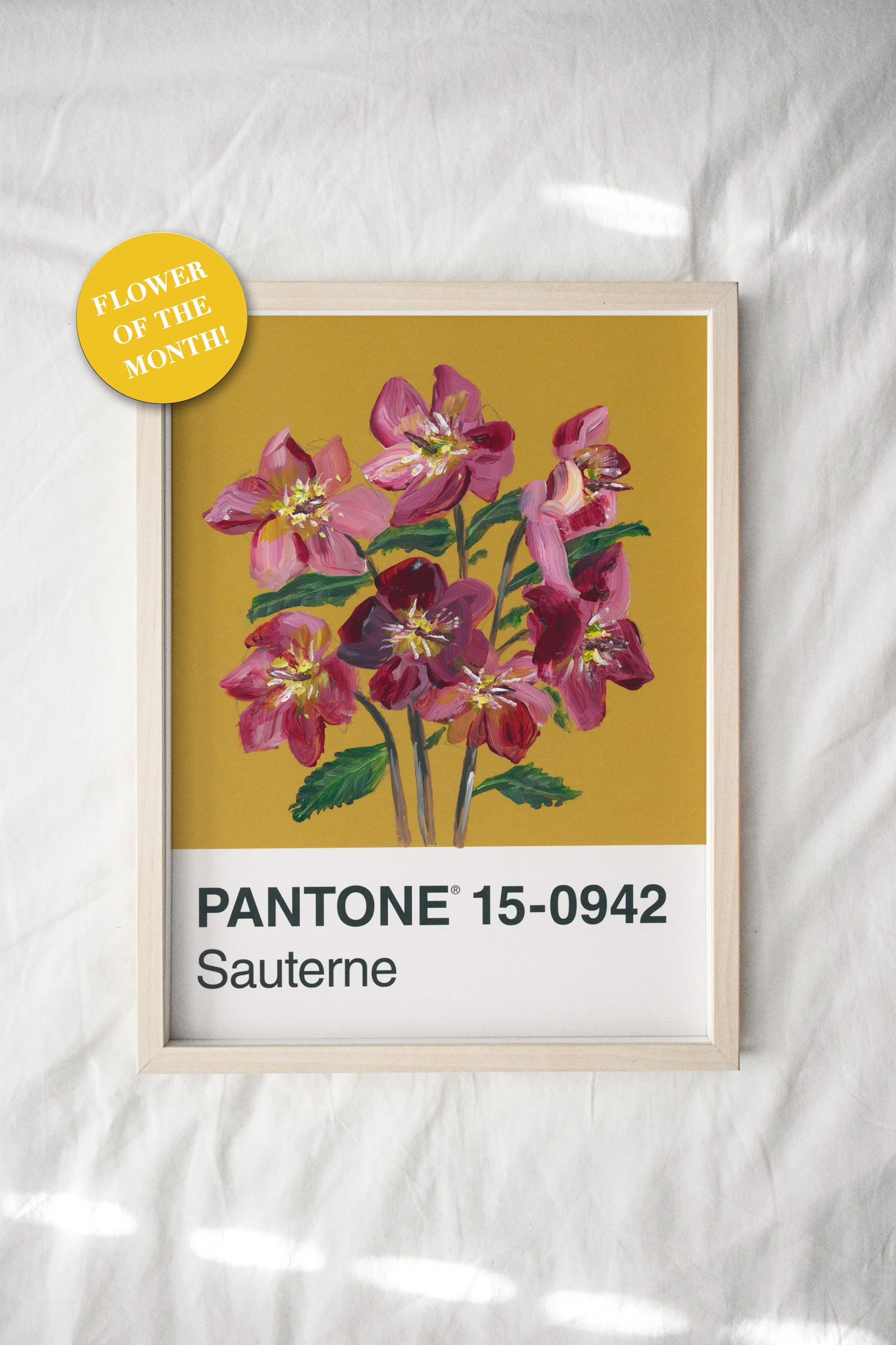 Day 24 - Helleborus Flowers - Print