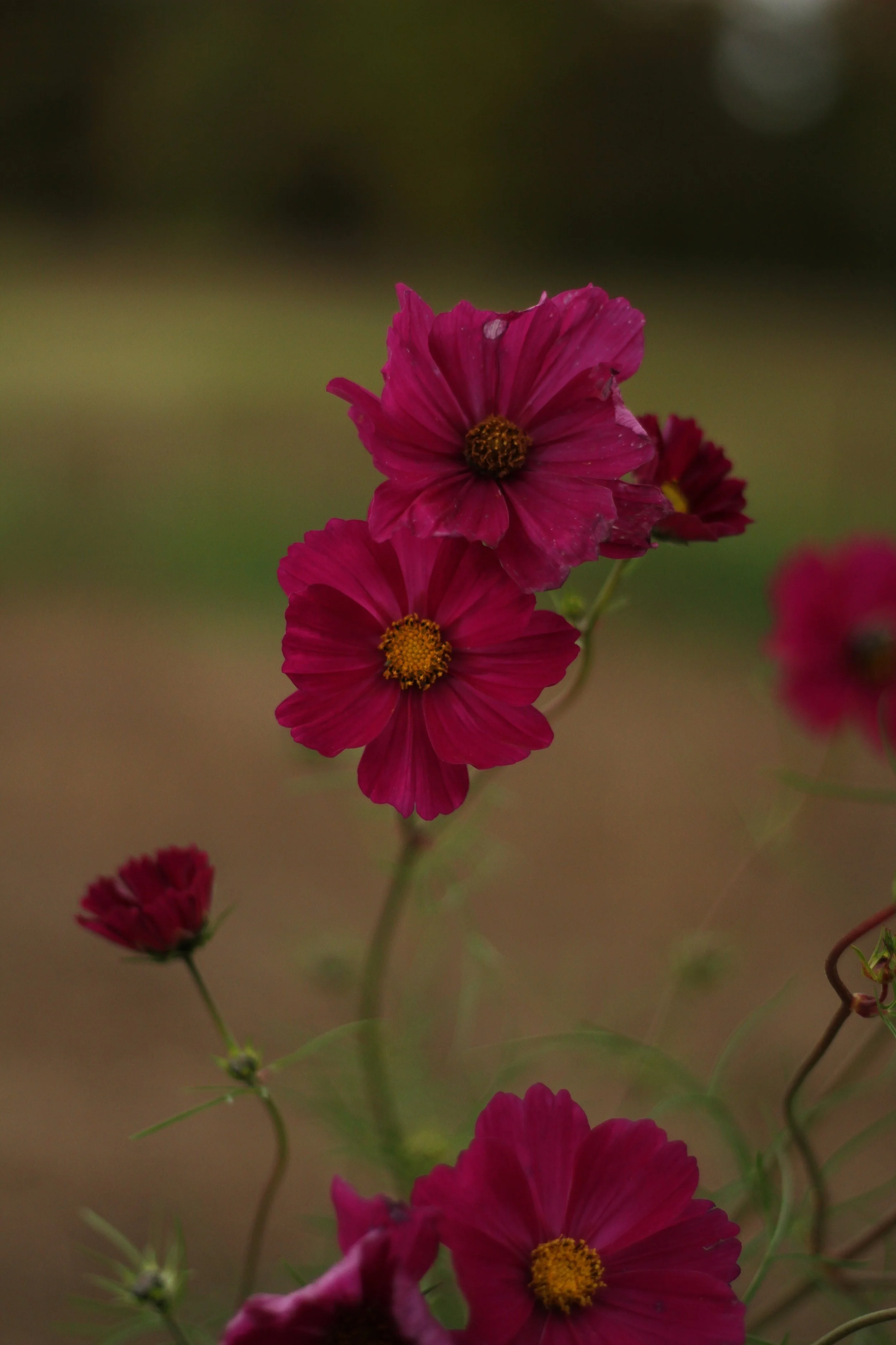 Balancing a new schedule