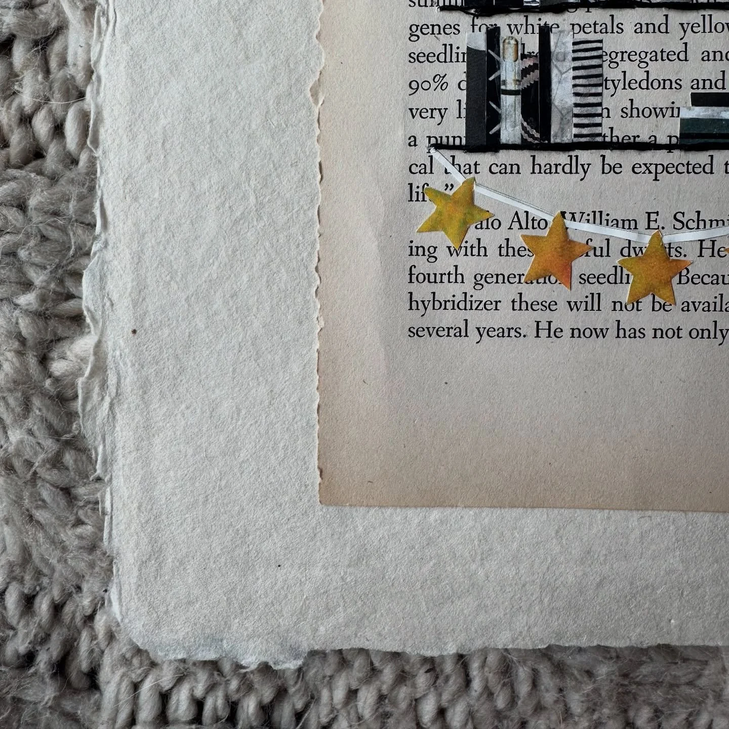 Did you know that exposure to different characters and perspectives in literature can foster empathy and improve emotional intelligence? I wish I was as fully into reading as a kid/young adult as I am now. The variety of emotions and magical places I