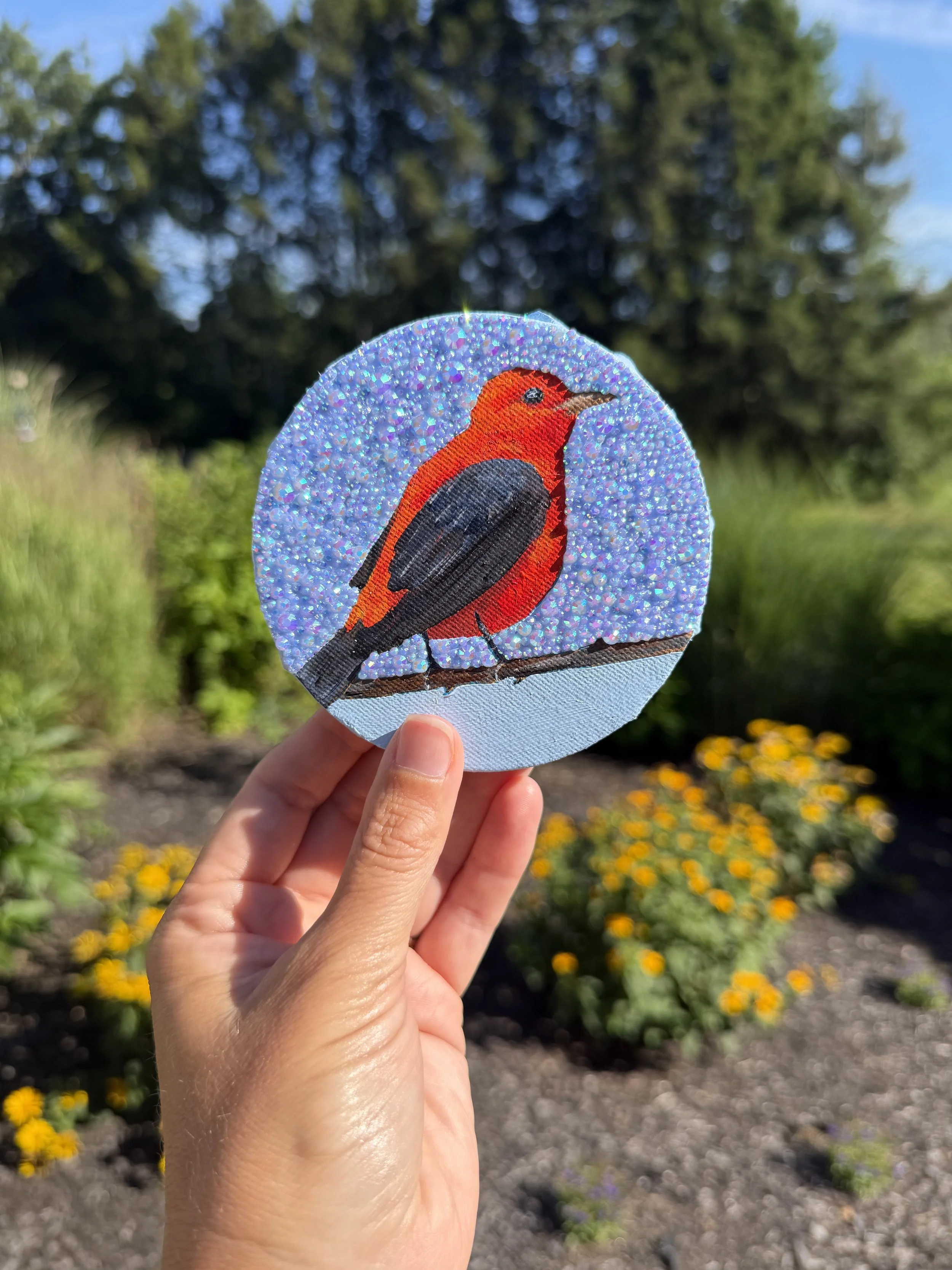 Scarlet Tanager