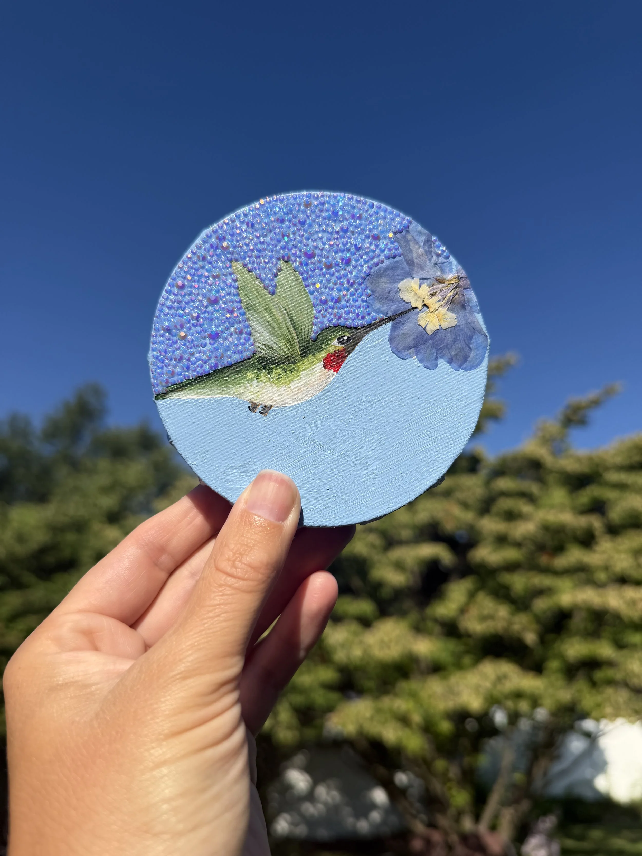 Ruby Throated Hummingbird