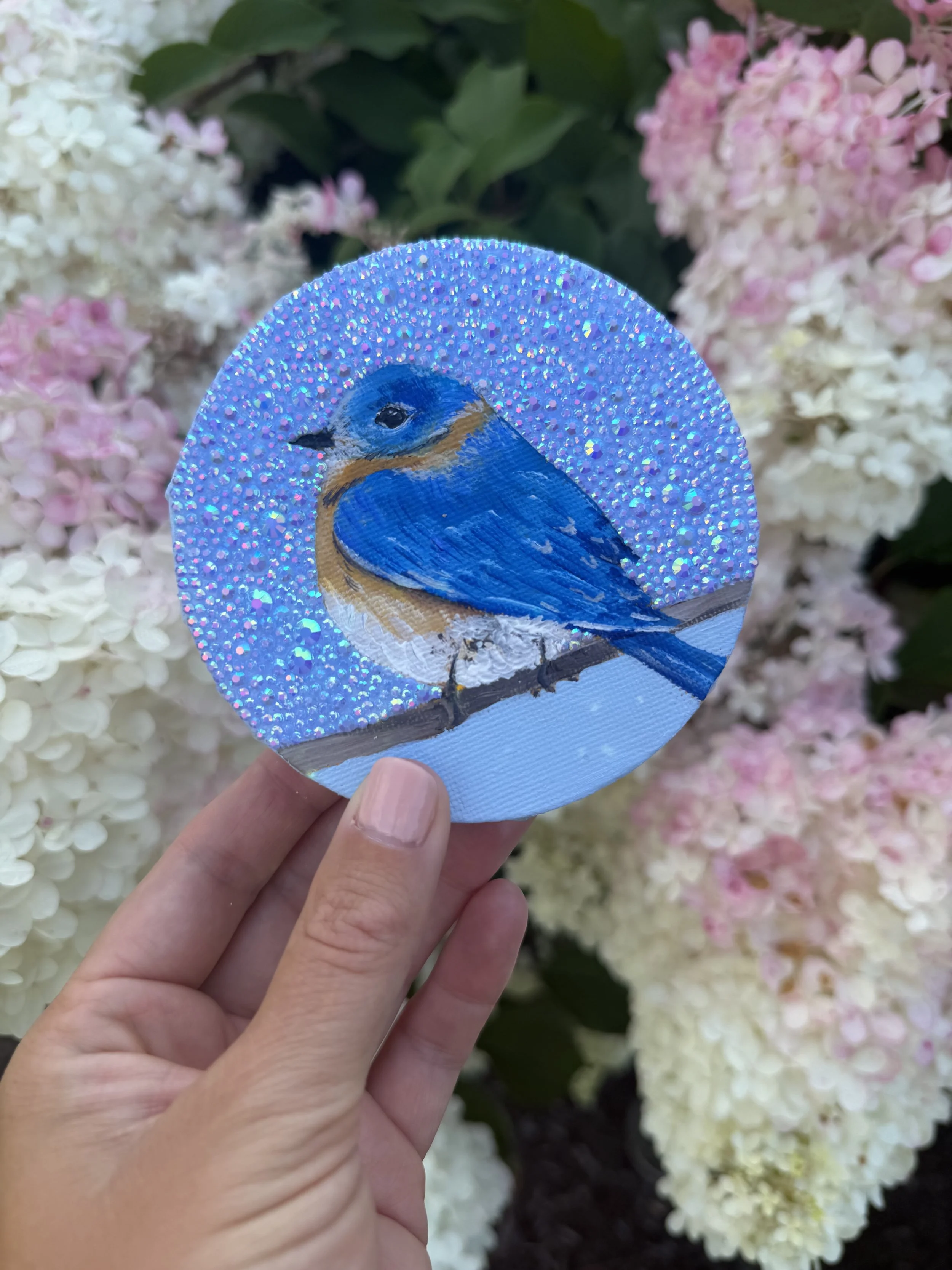 Eastern Bluebird