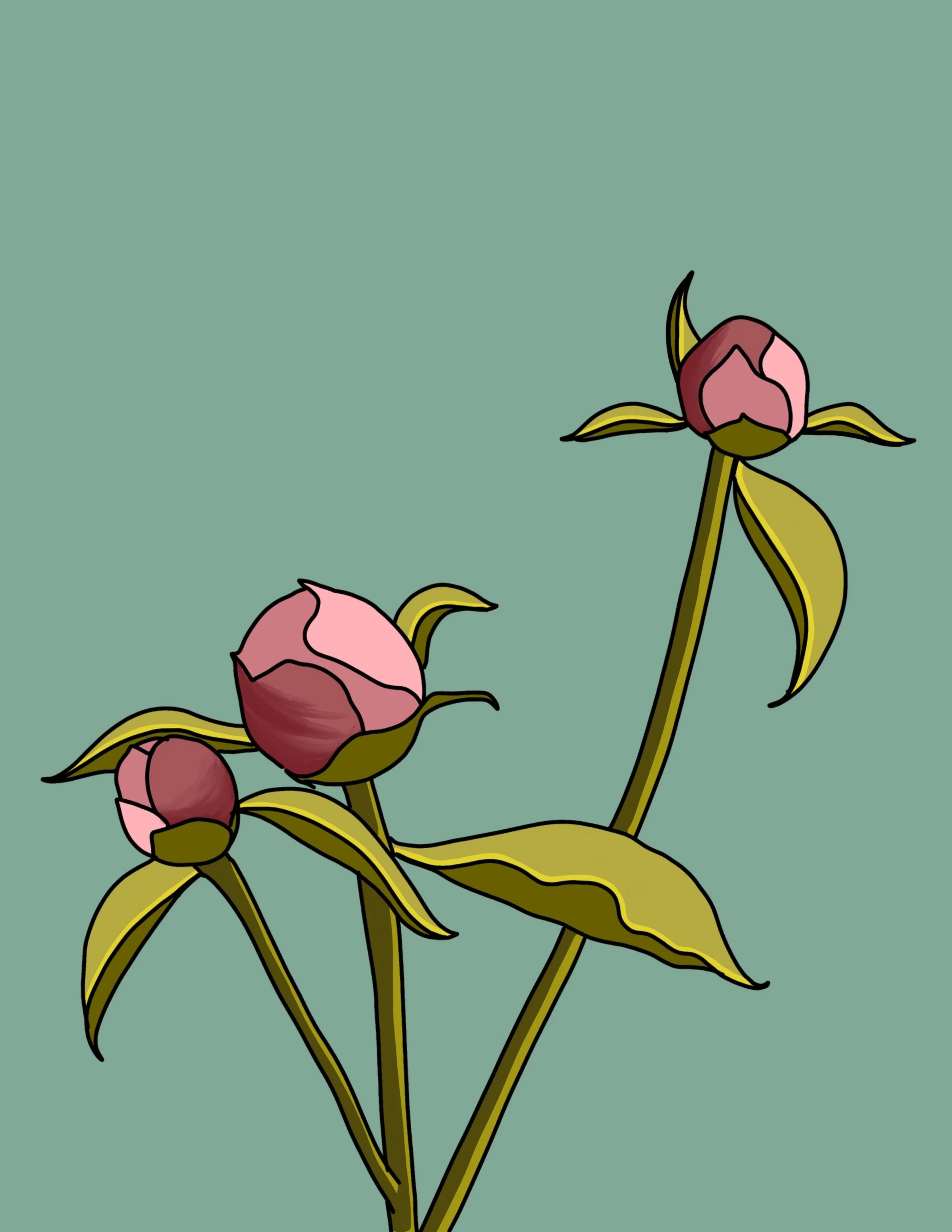 Graphic Digital Peony 