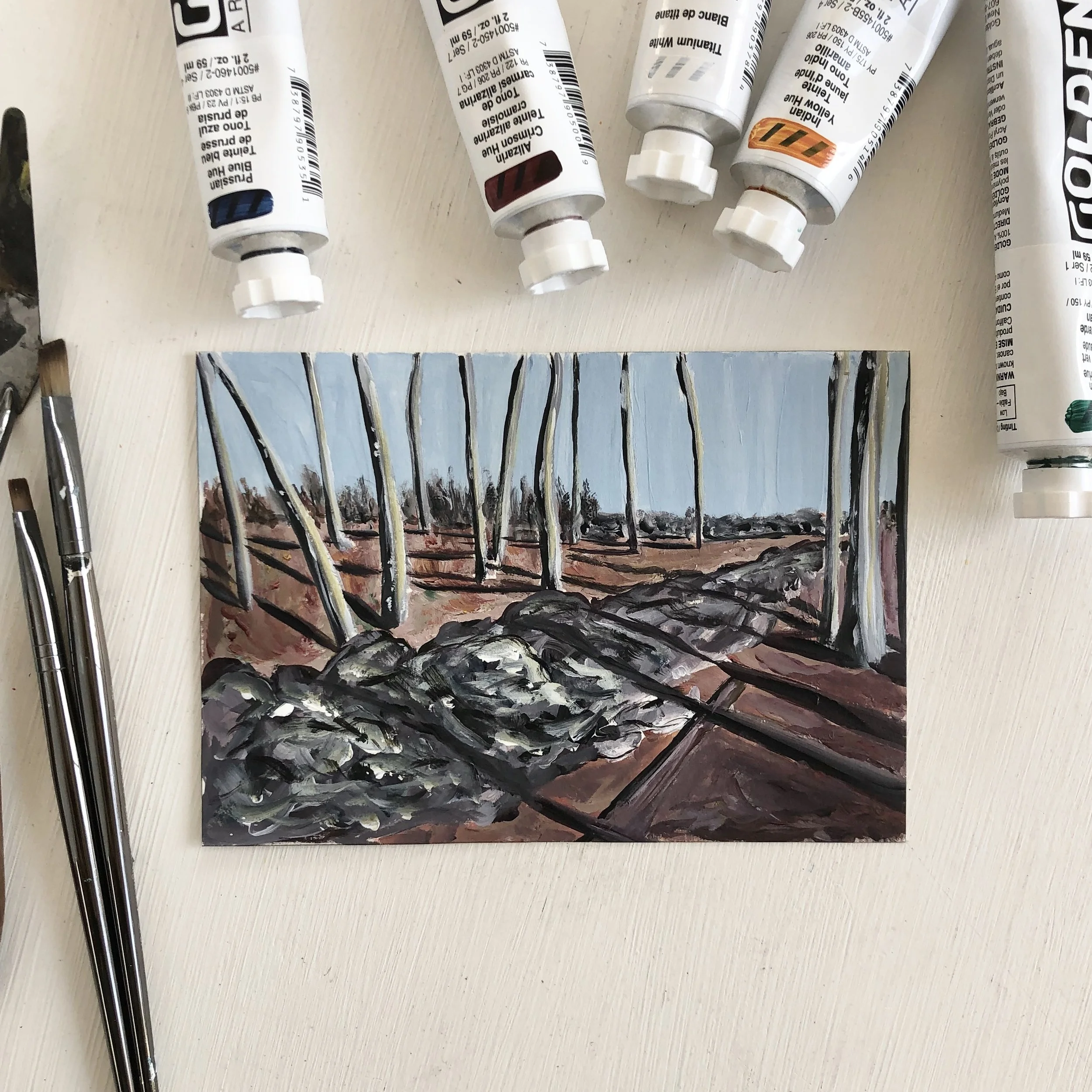 Landscape study of shadow and perspective