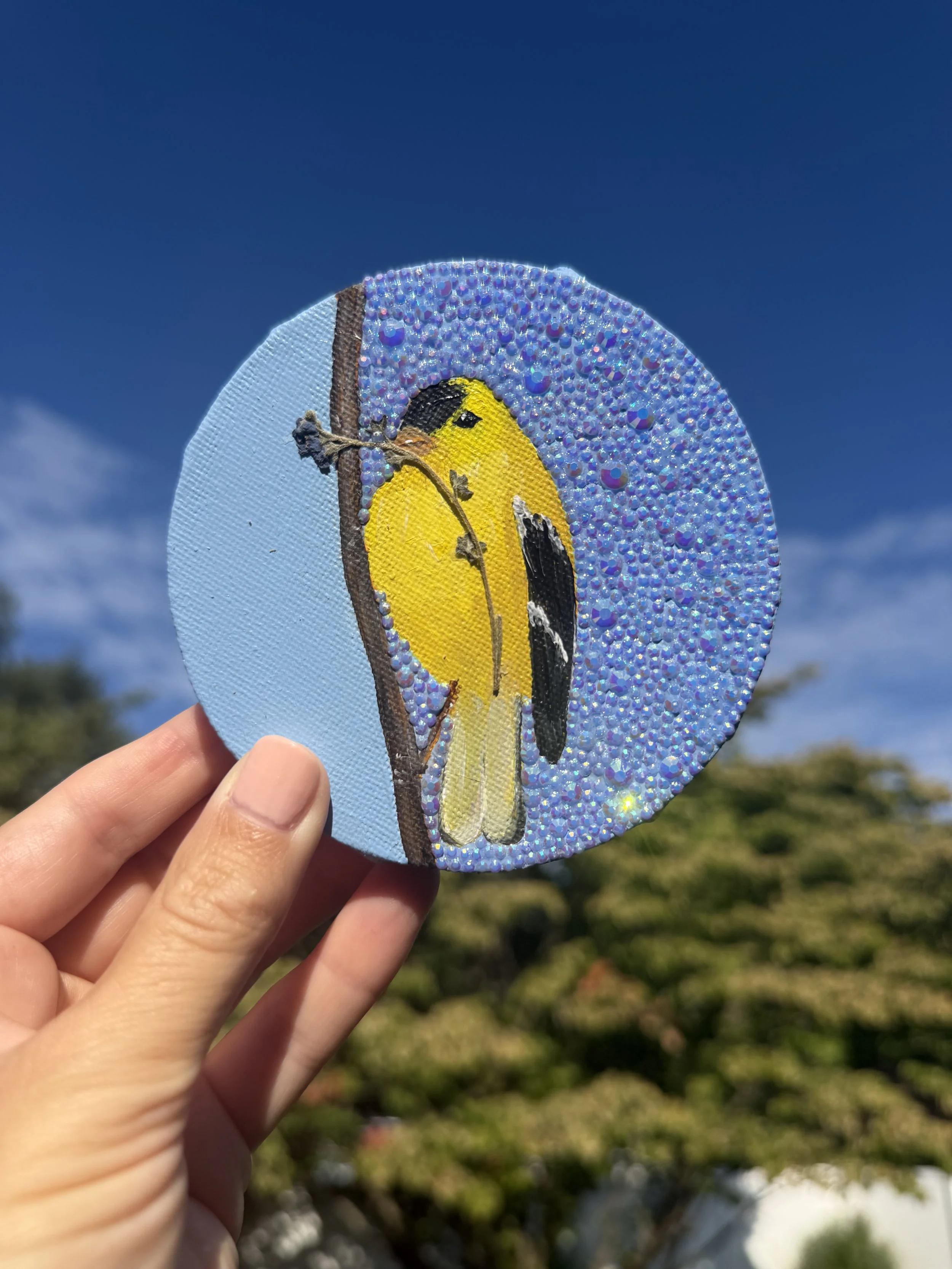 Yellow Finch