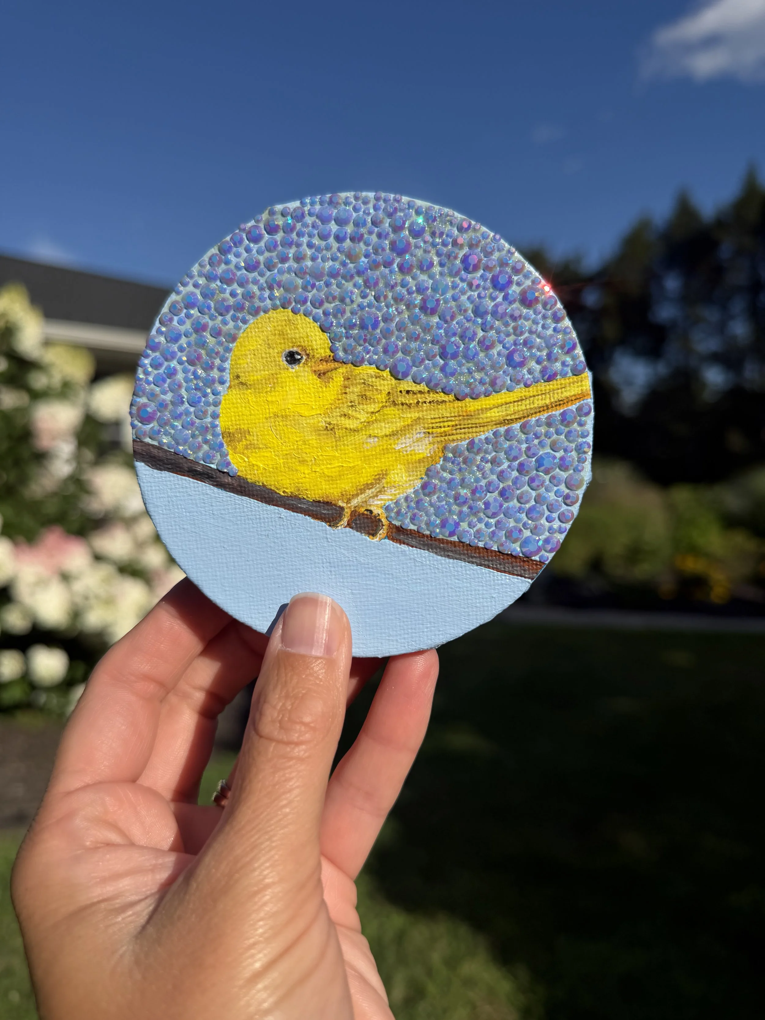 Yellow Warbler