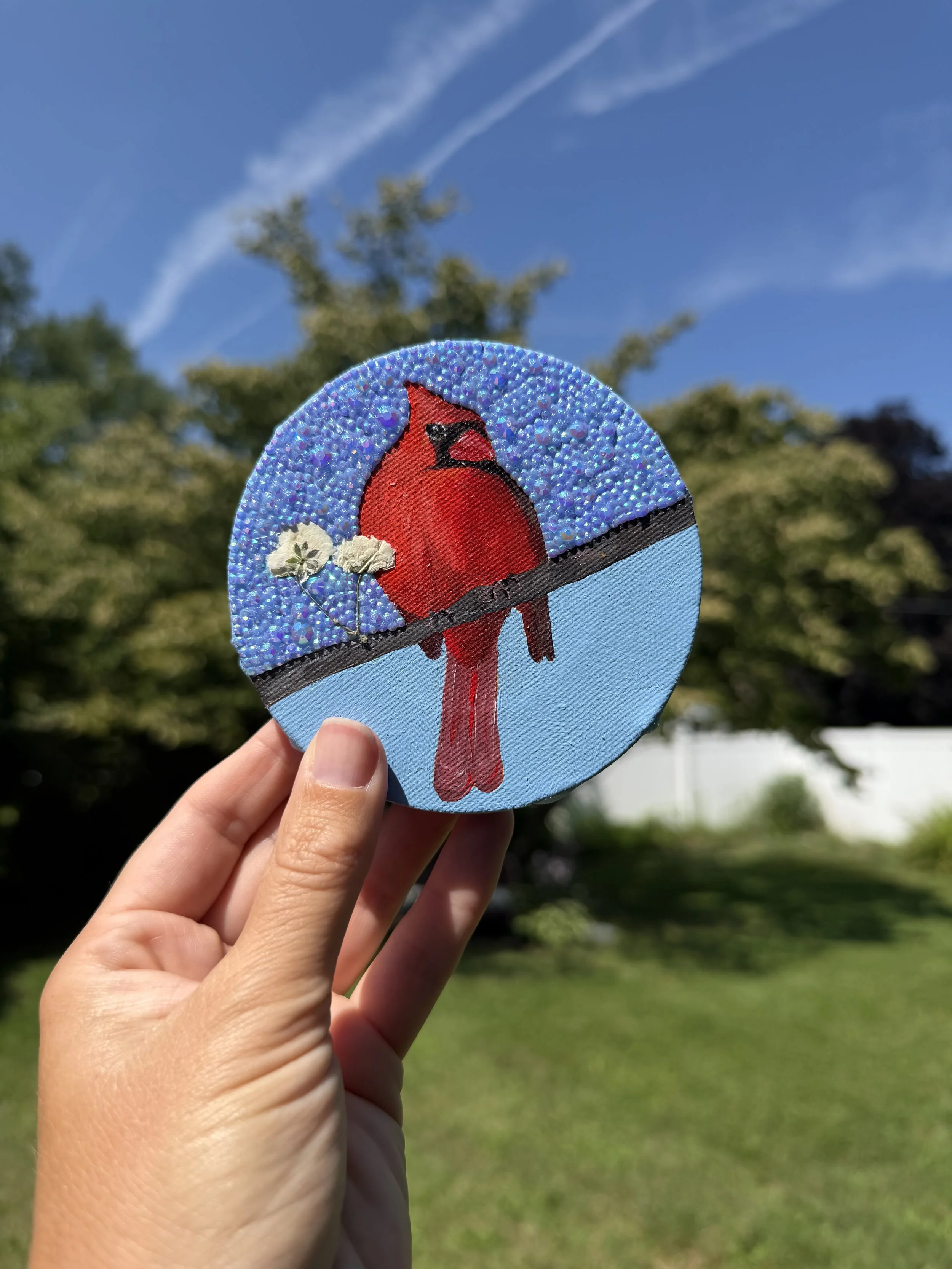 Cardinal (male)