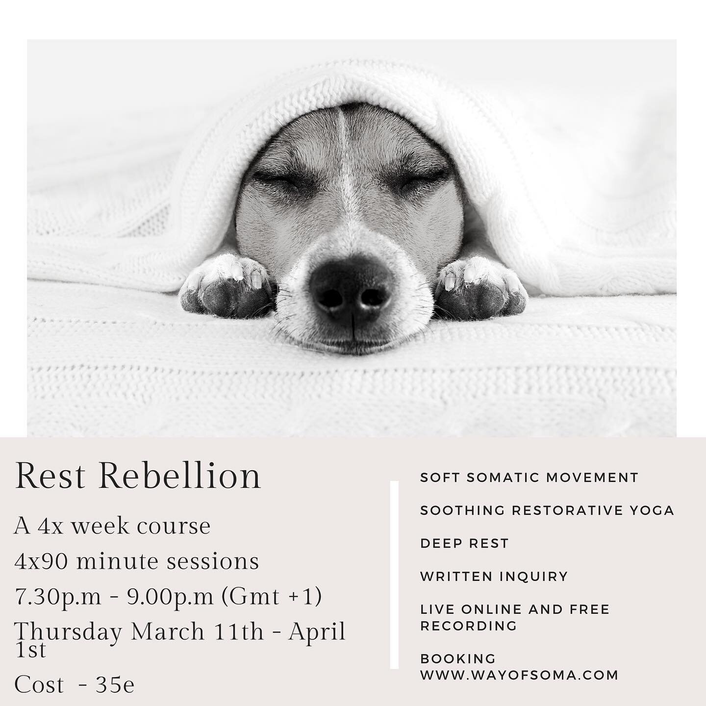 Thursday evening rest rebellion begins again on March 11th 
 Staying close to ground for maximum support and nourishment, restorative gestures, somatic awareness through soft gentle movement and  relaxation , the perfect prep for a deep sleep. 
*4 se