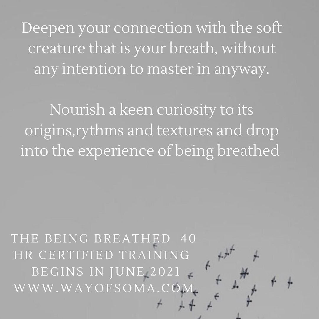 I am in full creation mode at the moment as I nurture this long time baby into being . 

I&rsquo;m excited about it , a really inclusive gentle approach to teaching and guiding breathing practices.

You can read more about it on the website on the go