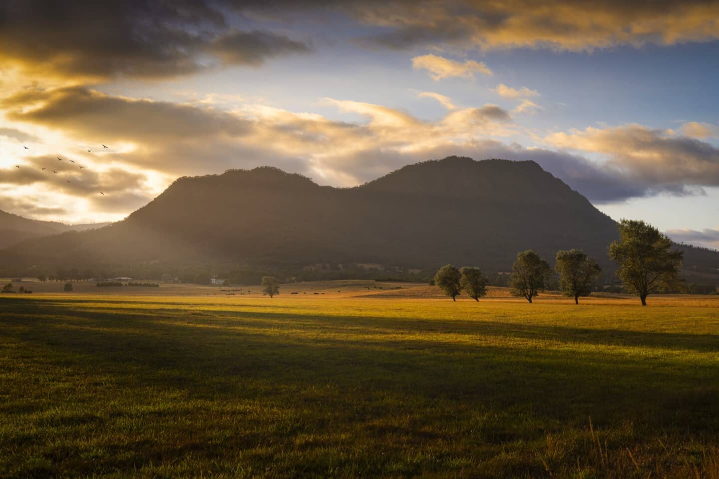 Sunrise at the Cathedral Ranges photographed in January of this year. I never tire of this view every time I drive past, it looks different during every season and depending on the time of day and weather conditions it can look striking. Often during