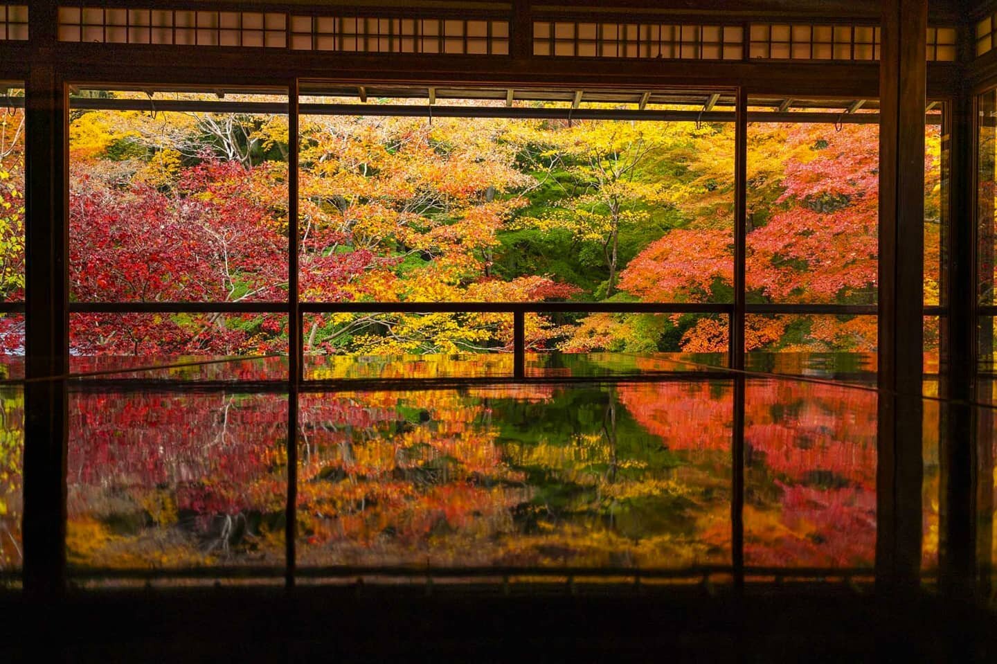 Autumn is probably my most favourite time of year and my trip to #Japan end of 2019 saw me getting around to some amazing autumn locations. Especially near the city of Kyoto. Swipe across to see some of my favourite autumn images from my travels in J