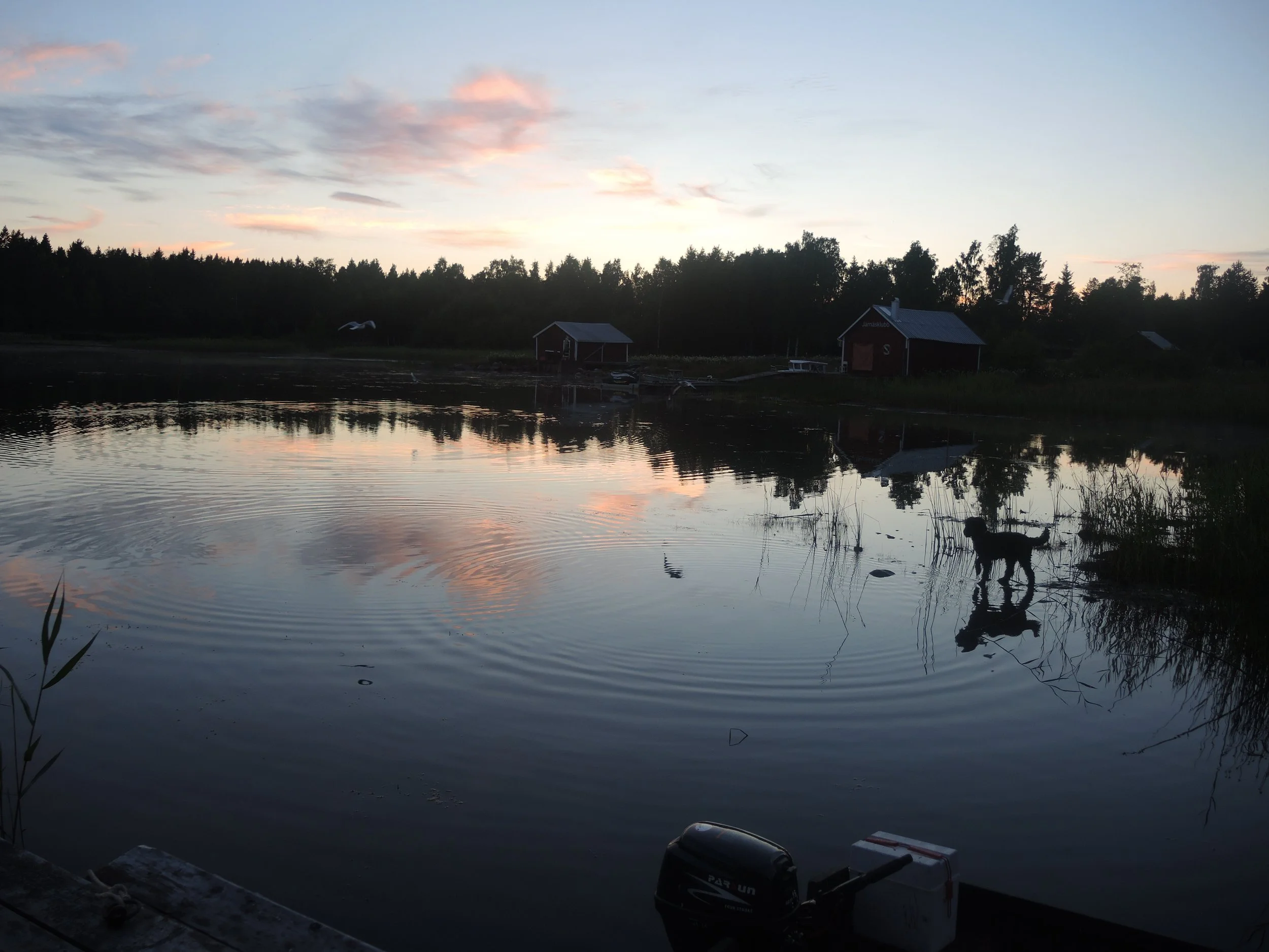 DSCN7217.JPG