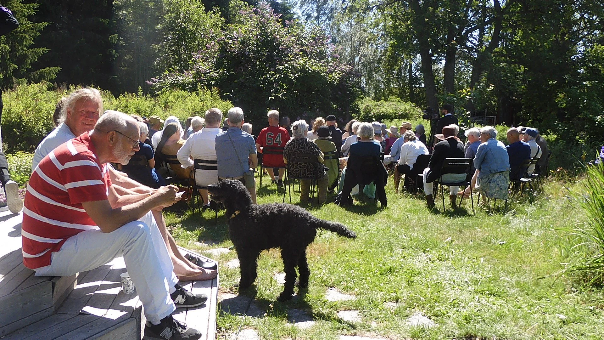 DSCN0007 - kopia (3).JPG