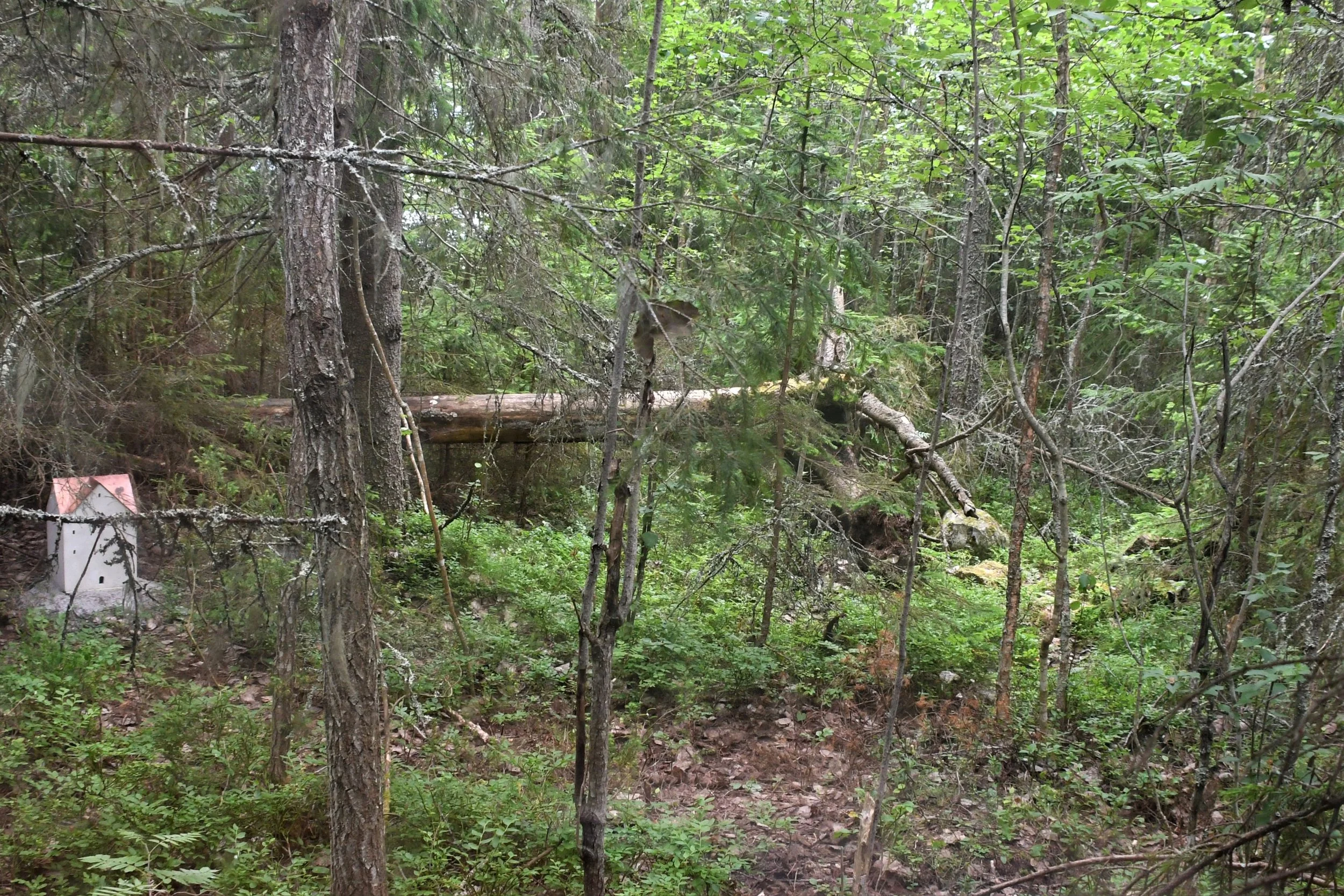 7. Anna Kristensens verk Reflektorium.JPG