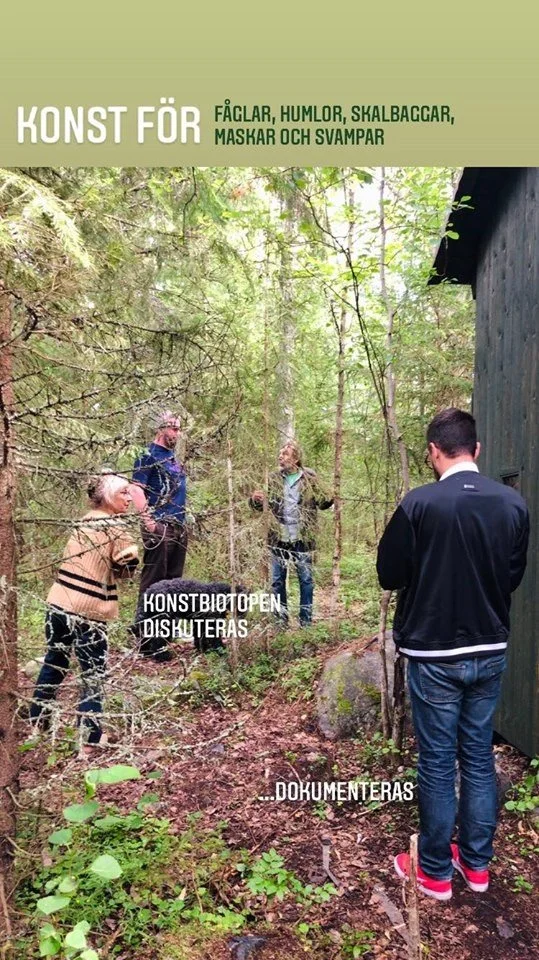 Cissis bild Konstbiotopen diskuteras, dokumenteras.jpg