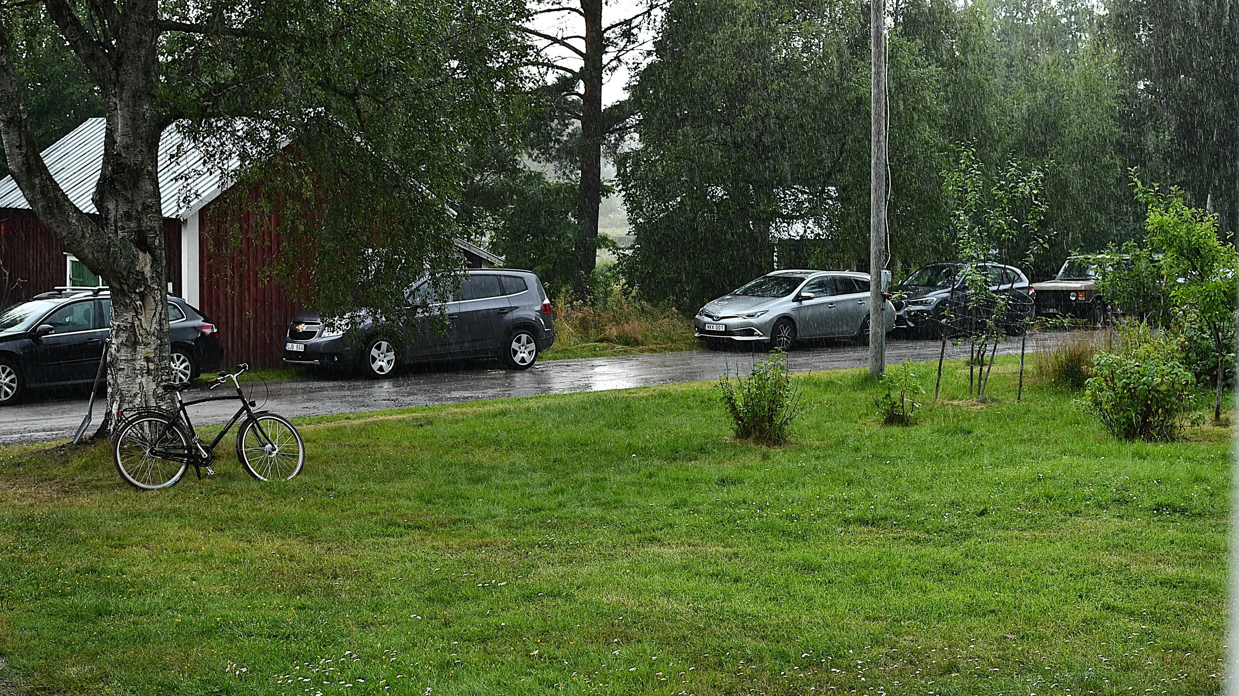 DSC_4331.JPG