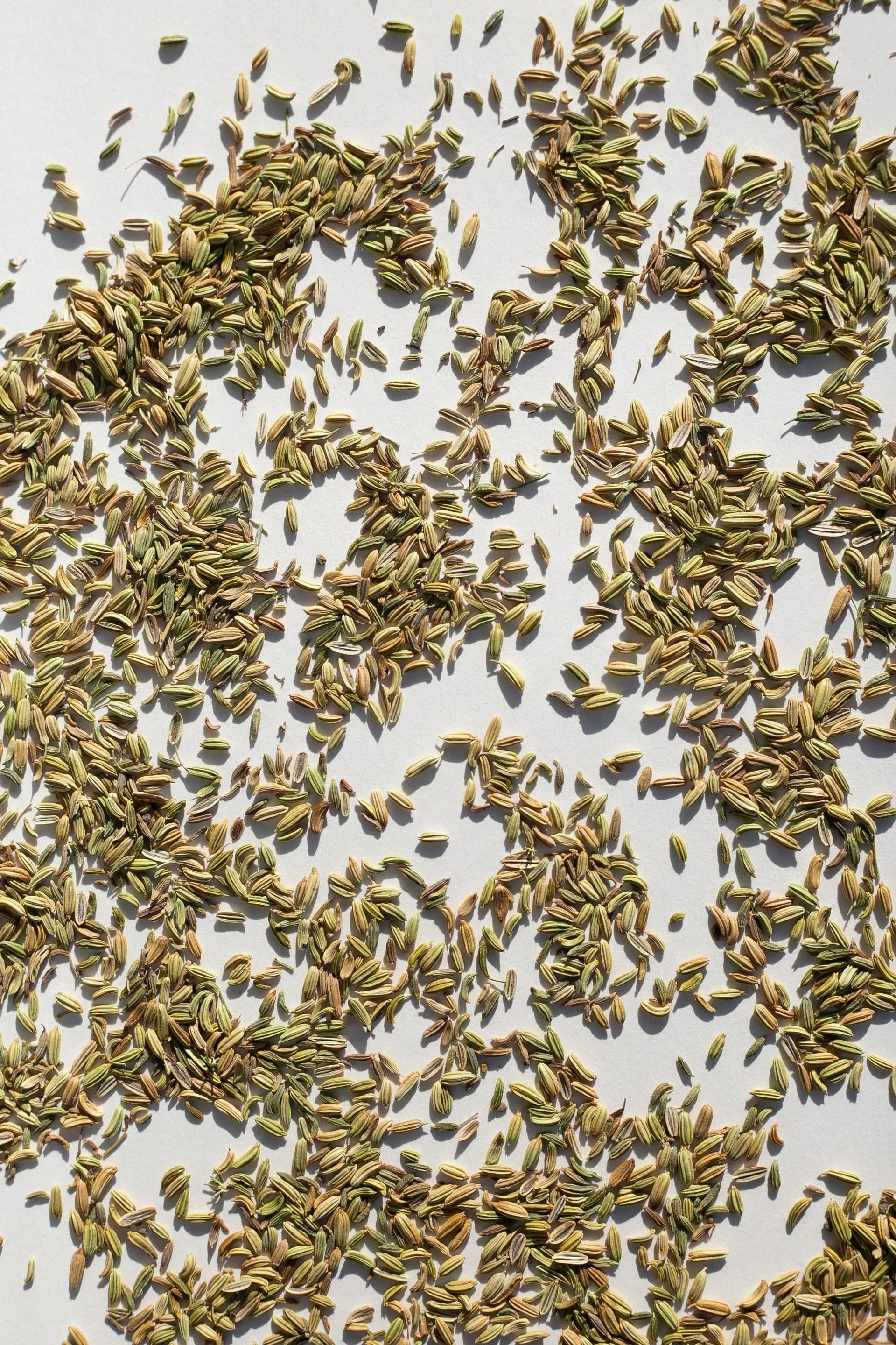 daphnis_and_chloe_fennel_seeds_loose.jpg