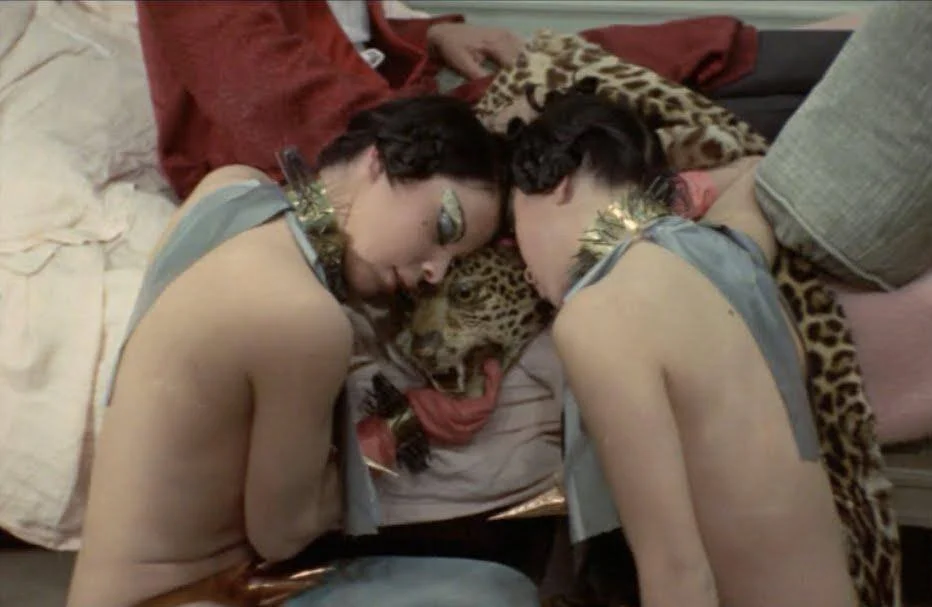 48 HILLS • The Nude Vampire, Babylon, Gay USA…