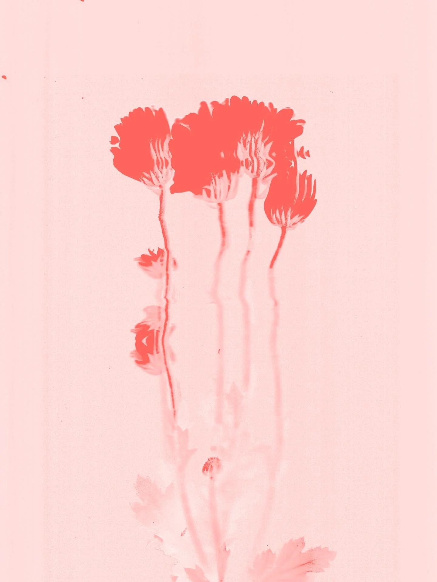 One of my ten &ldquo;Pressed to impress&rdquo; risography prints for @flowers.die.buy.jewellery 🥀

You can purchase them at the flowers-die.com. 
Printed at @thehappyclub.de 

🪩