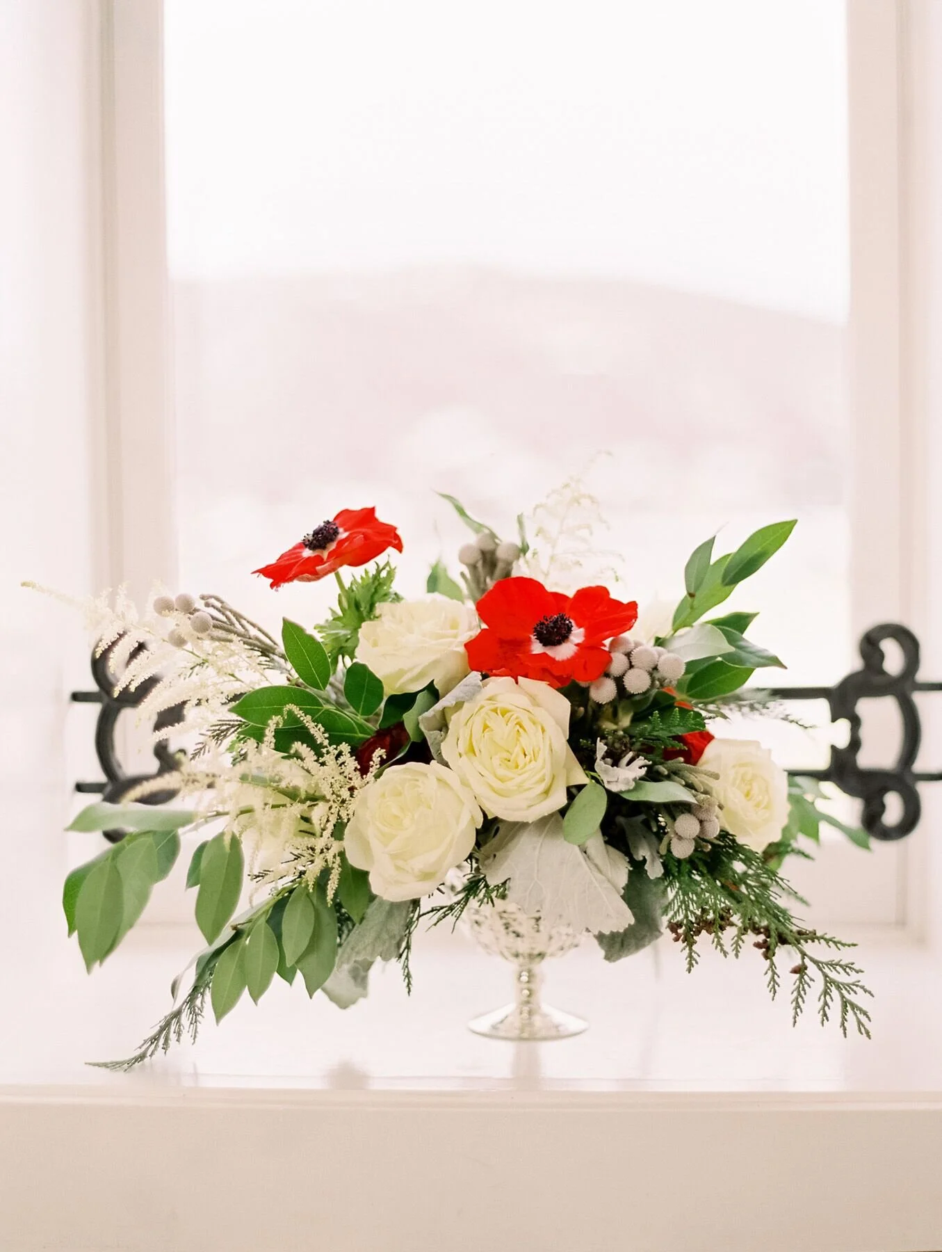 Carla WSH anemone.jpg