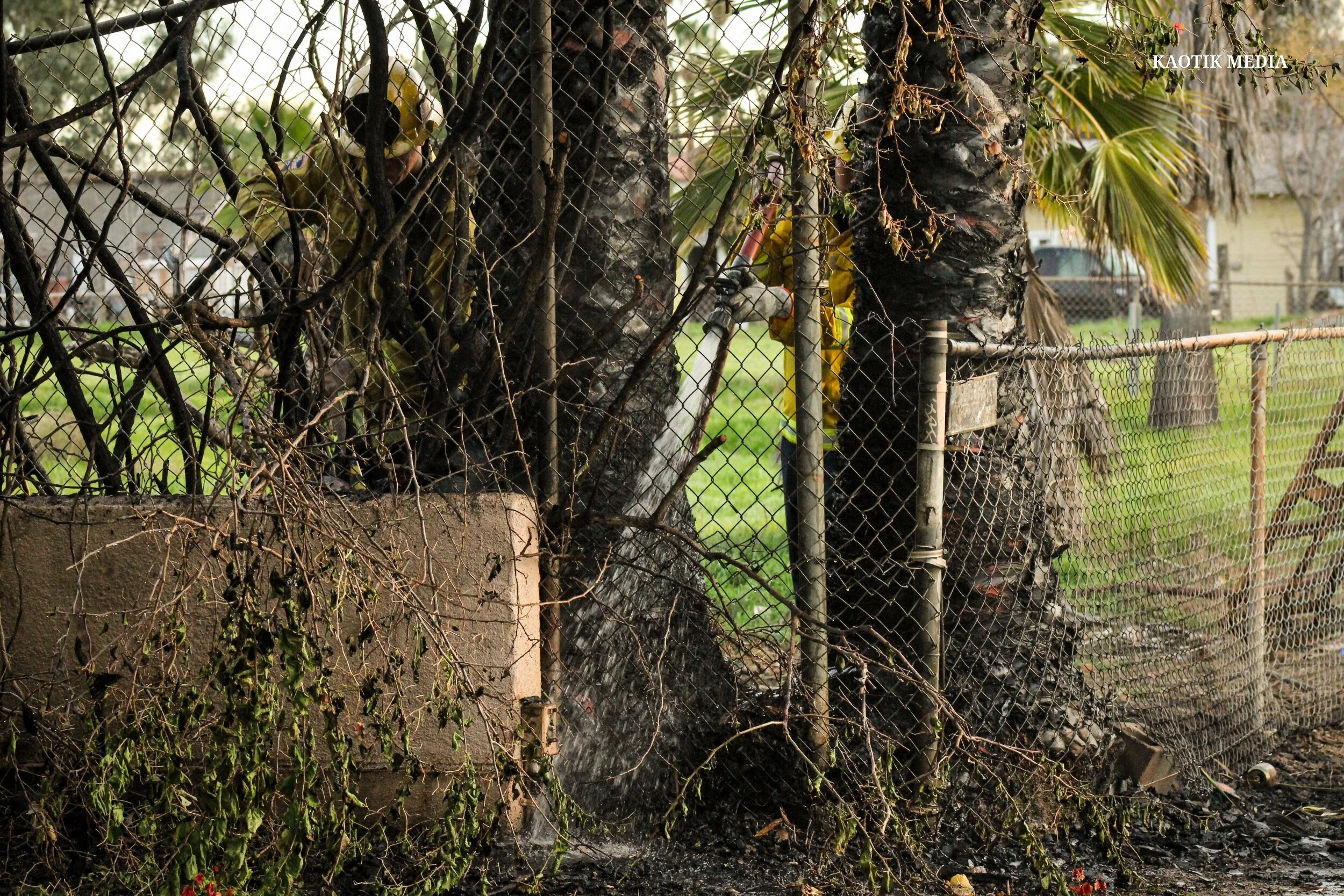 processed_2020-01-18_TreeFire_Highland_CA (54).jpg