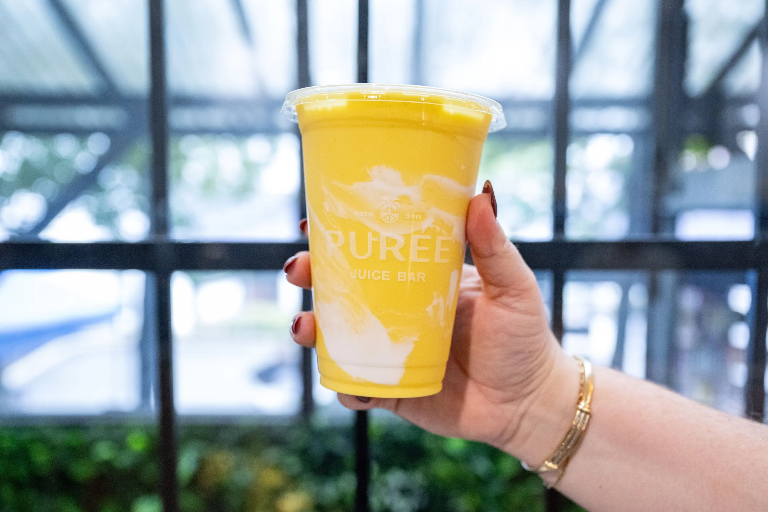 puree-juice-bar-georgetown-opening-mango-smoothie-window-076.jpg