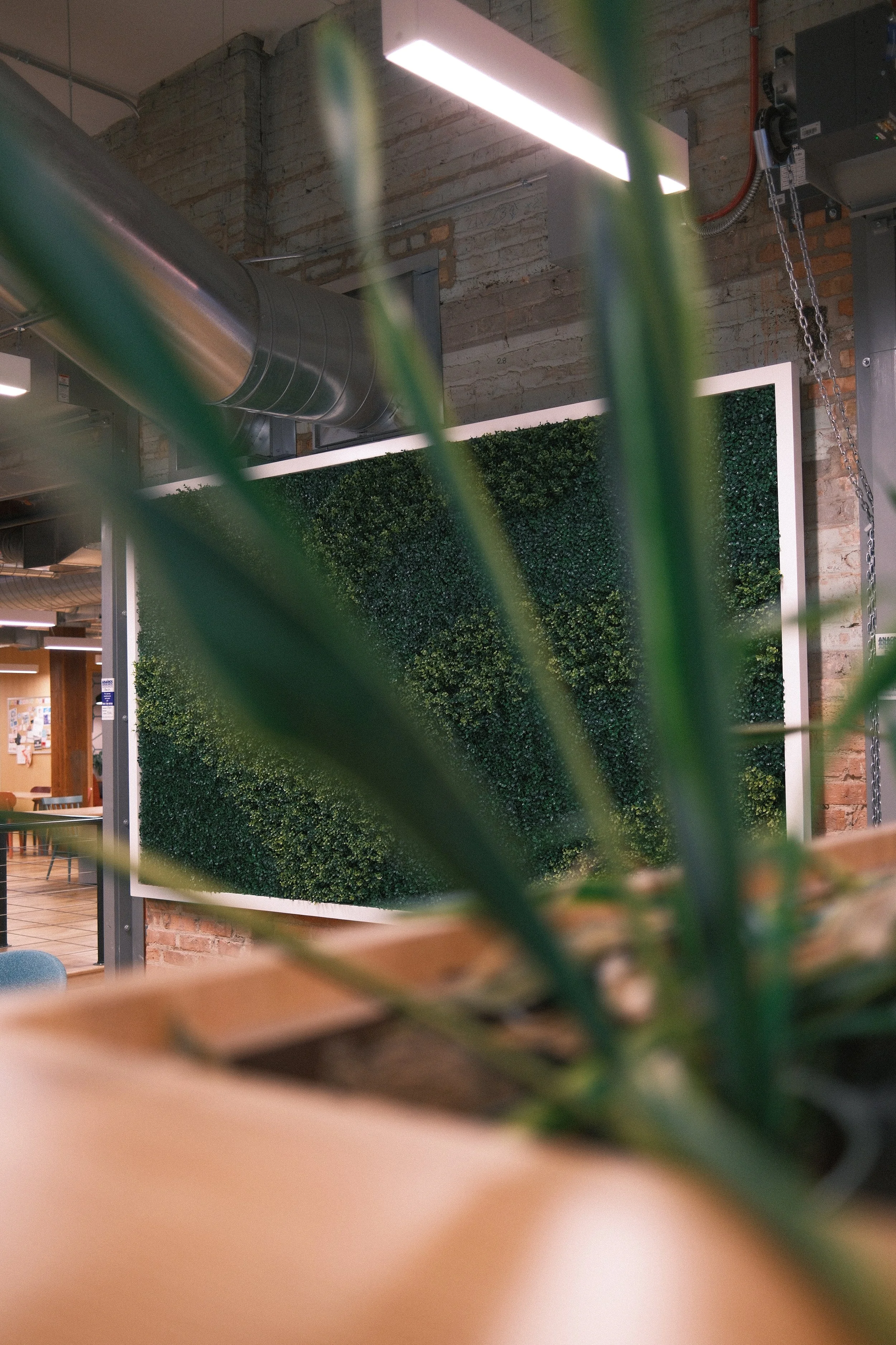 EightySeven-Office 4.JPG