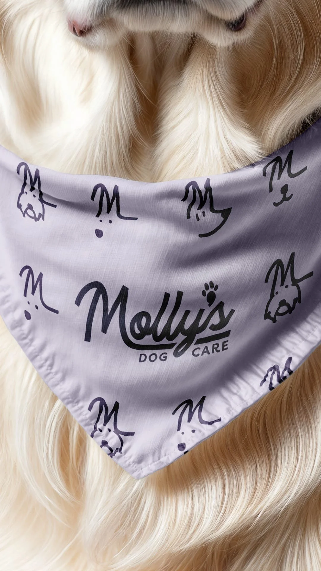 In service-based industries, trust isn&rsquo;t optional&mdash;it&rsquo;s everything.

Molly&rsquo;s Dog Care ( @mollysdogcare) operates in a market where low standards are common, and they saw an opportunity to raise the bar&mdash;elevating every par