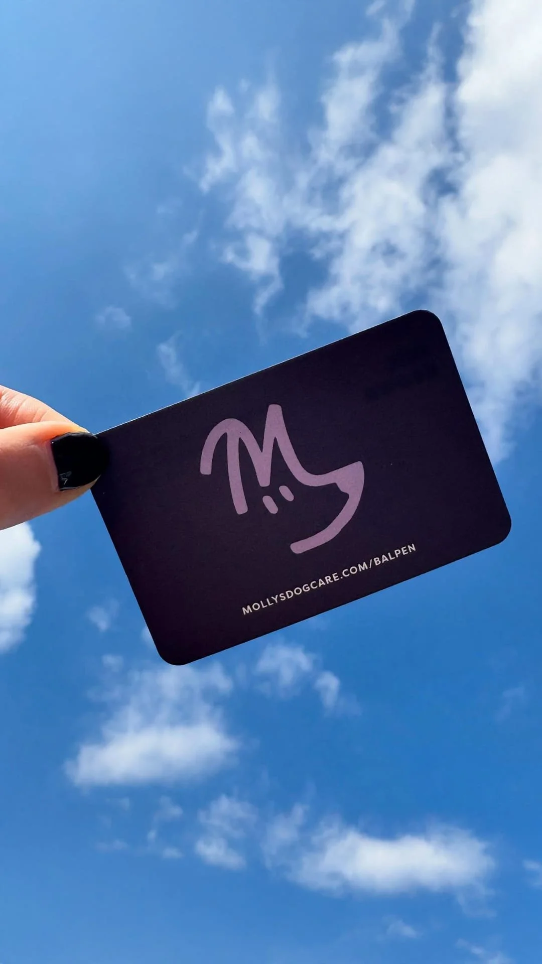 When your business is growing fast, your brand shouldn&rsquo;t be playing catch-up. It should be leading the way.
 
 
Molly&rsquo;s Dog Care (@mollysdogcare) is a great example of what it looks like to grow with purpose. Together, we built a brand sy