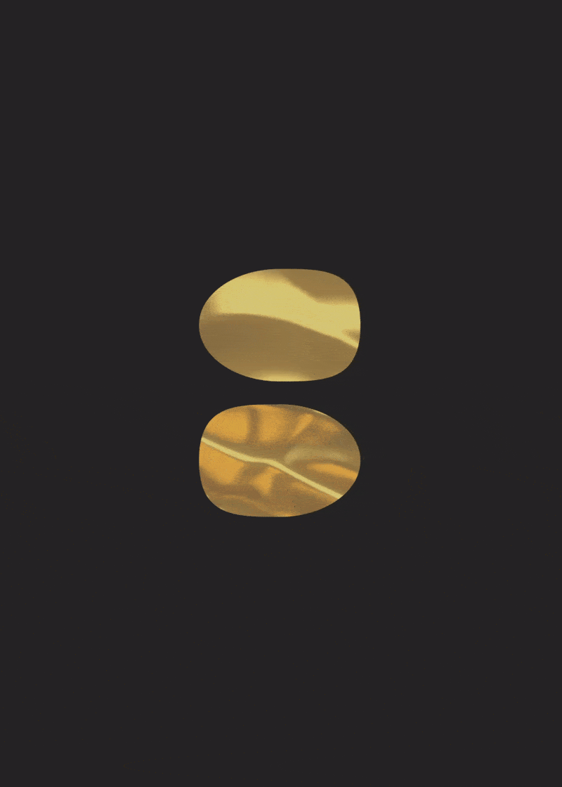 Stey Gold Icon Animation.gif