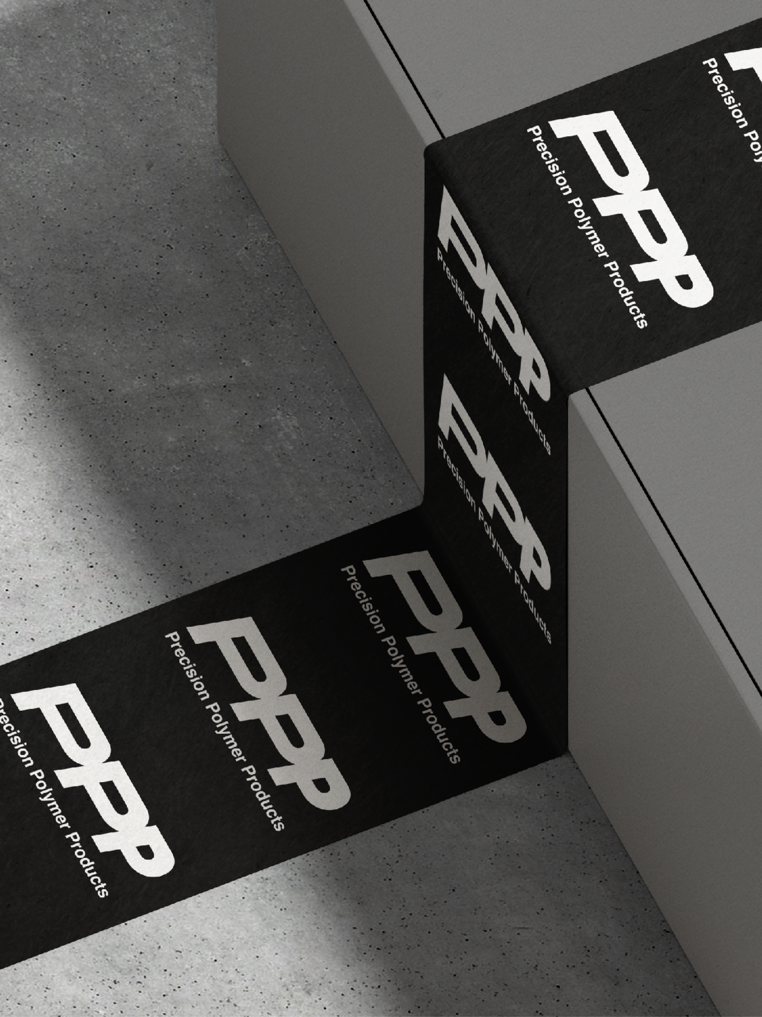 PPP Case Study_23.png