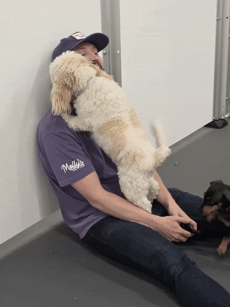 Mollys Playing.gif