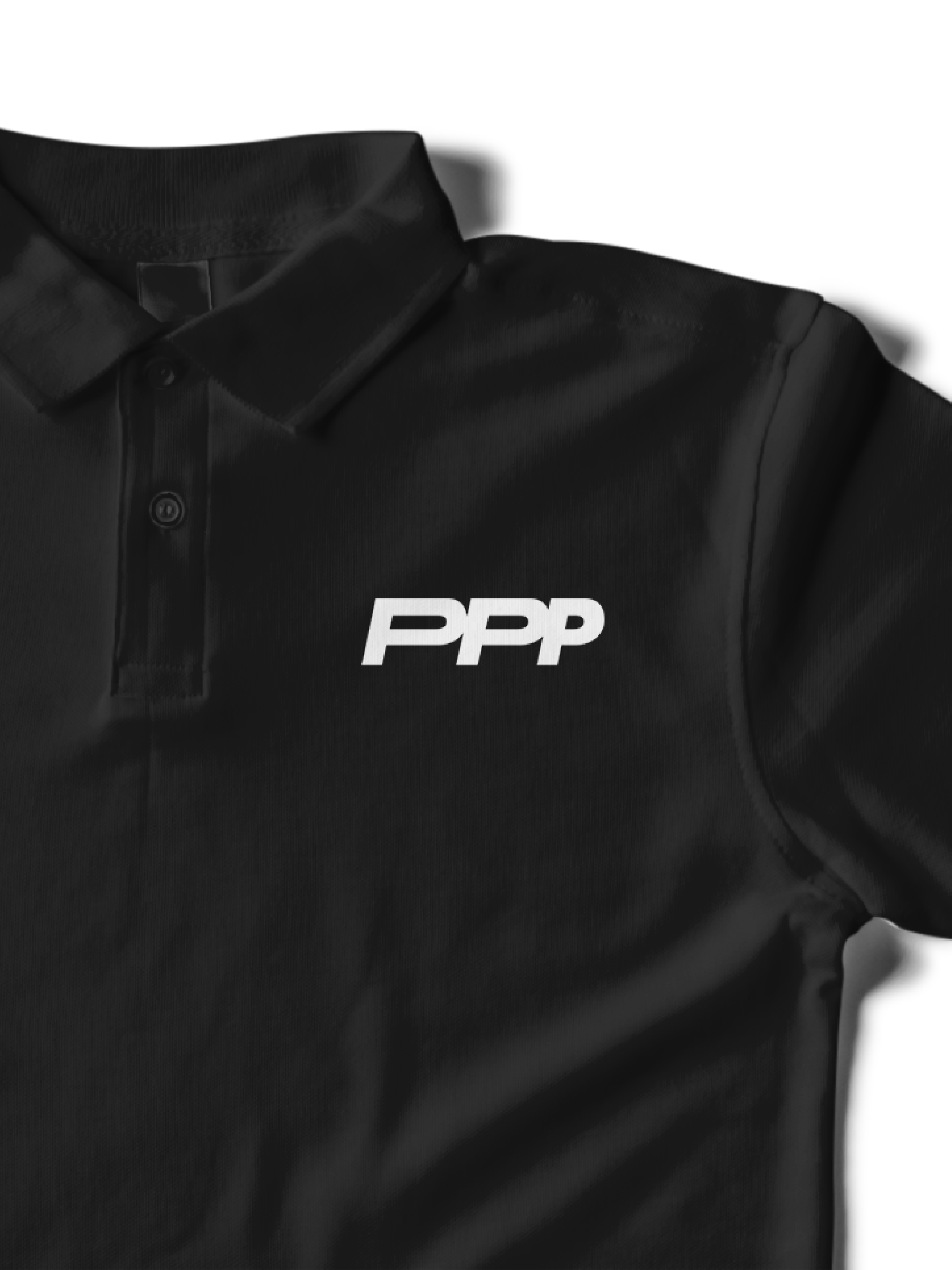 PPP Case Study_20.png