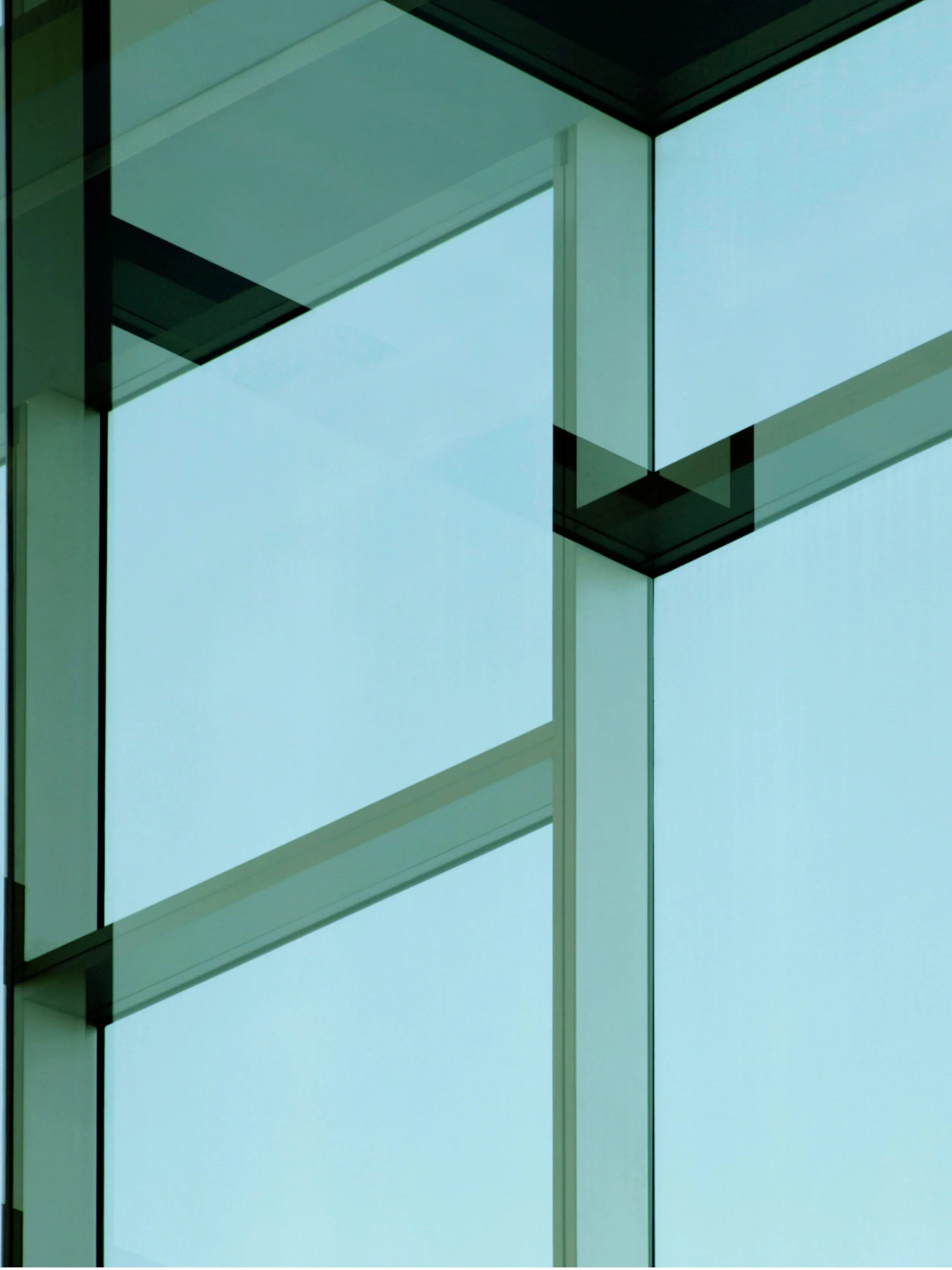 Entrepreneurial Capital-EightySeven-Case Study-07.jpg