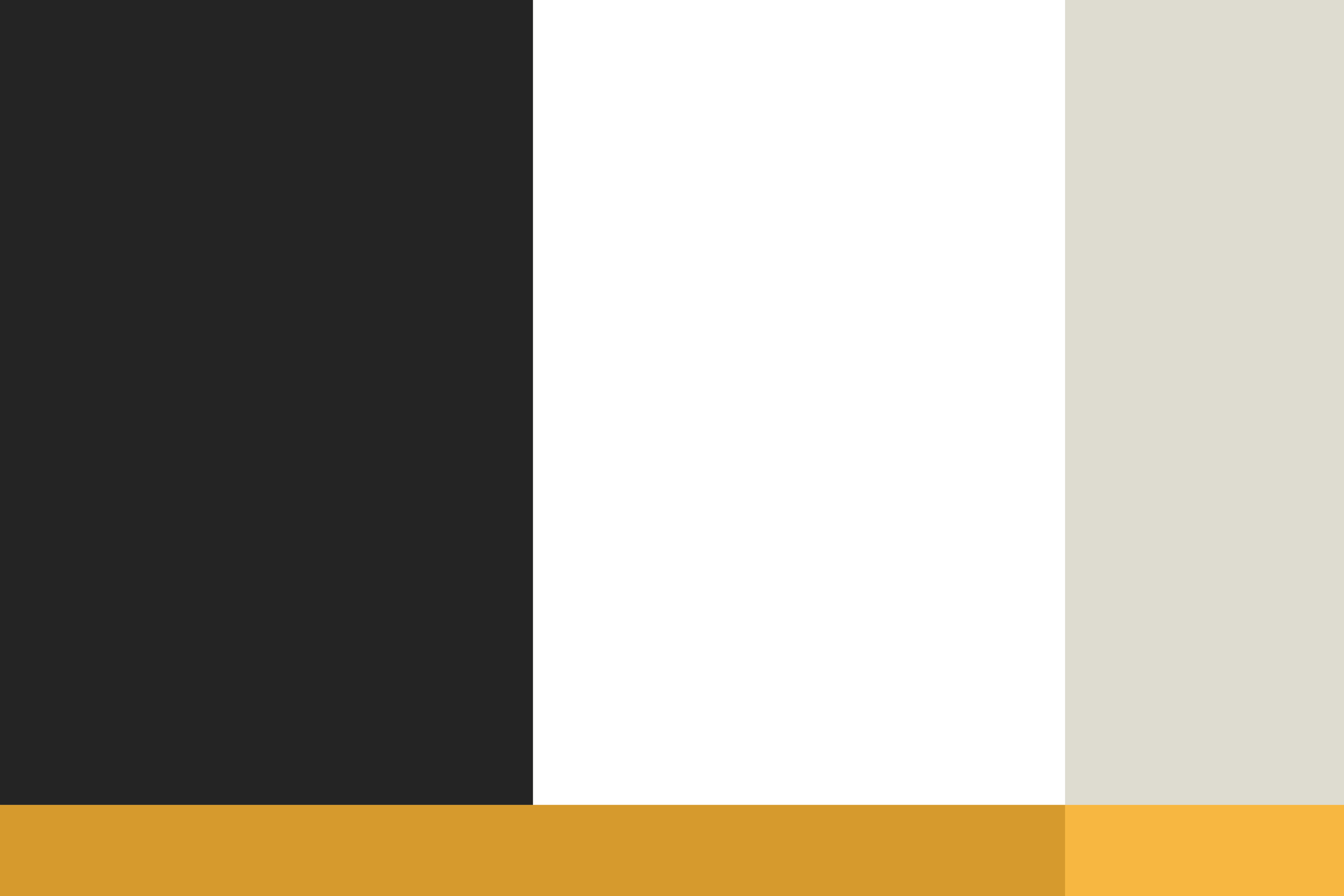 Stey Gold_08.png