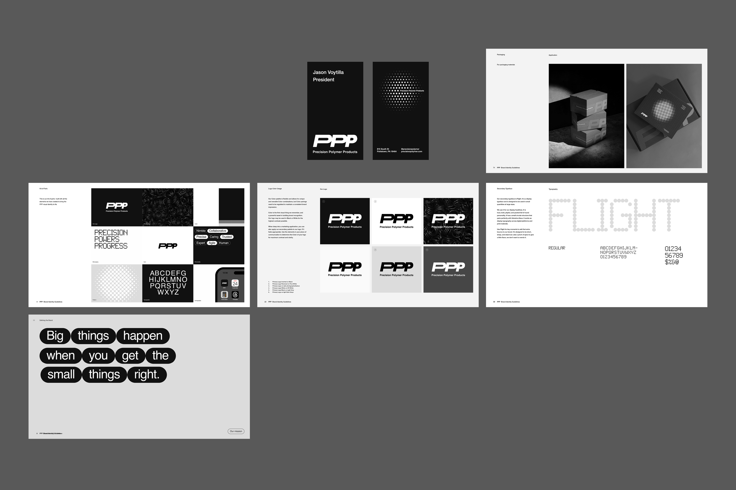 PPP Case Study_31.png