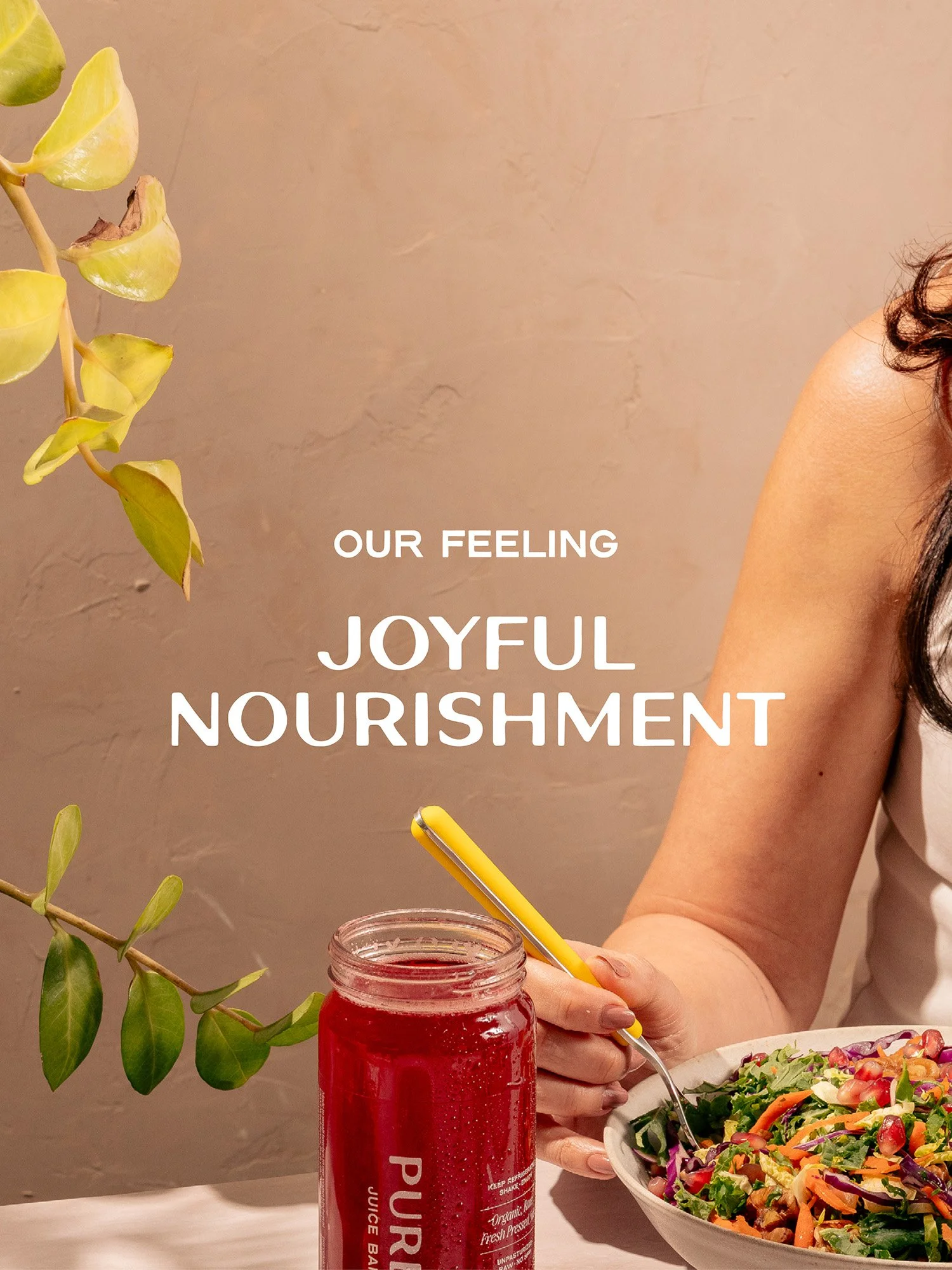 Puree Juice Bar Case Study_10.jpg