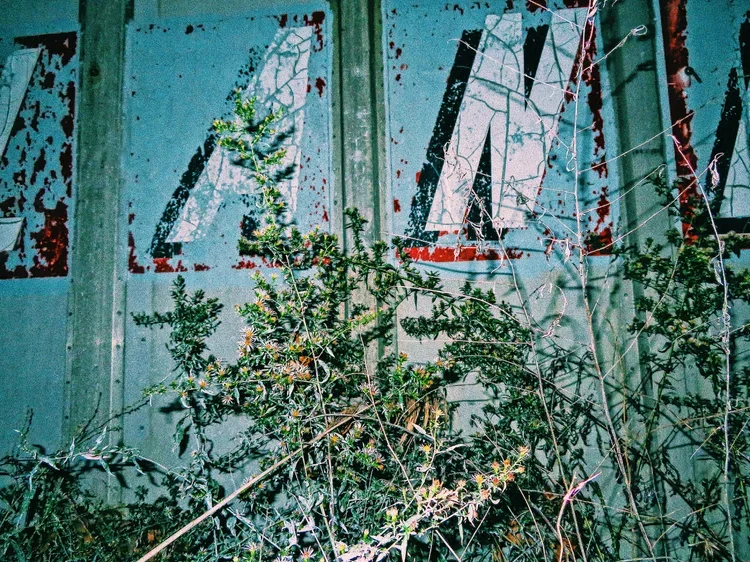 5D8F99CF-D924-4BA8-AE83-52178850CB48.webp