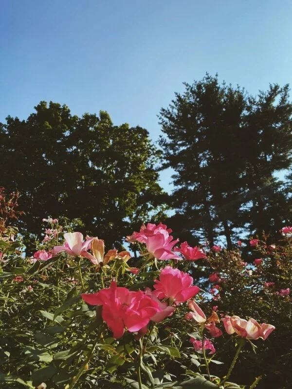 vsco5f693ccf86a53.webp