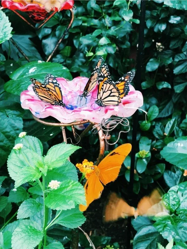 vsco_072517-1.webp