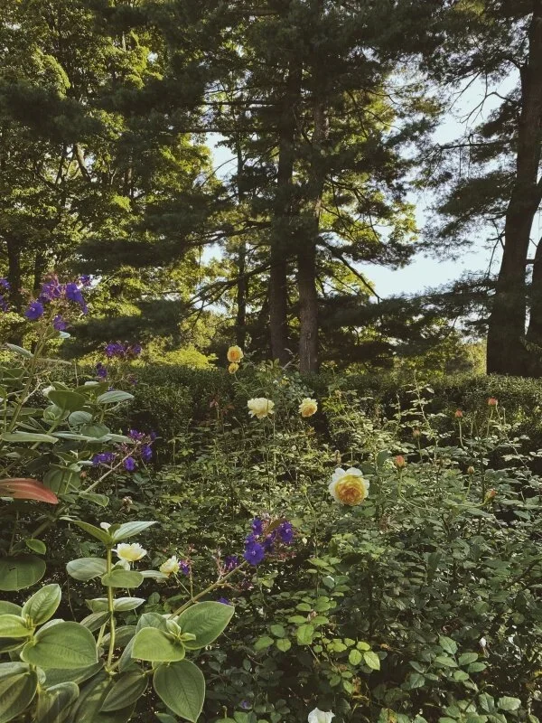 vsco5f69329c72bde.webp
